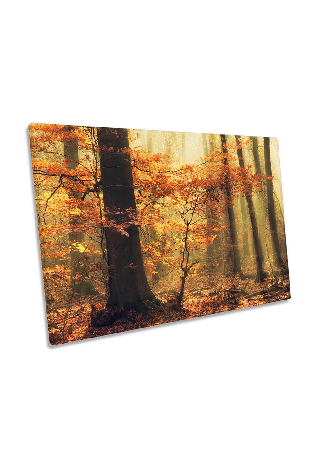 Orange Fall Autumn Forest Trees Canvas Wall Art Picture Print