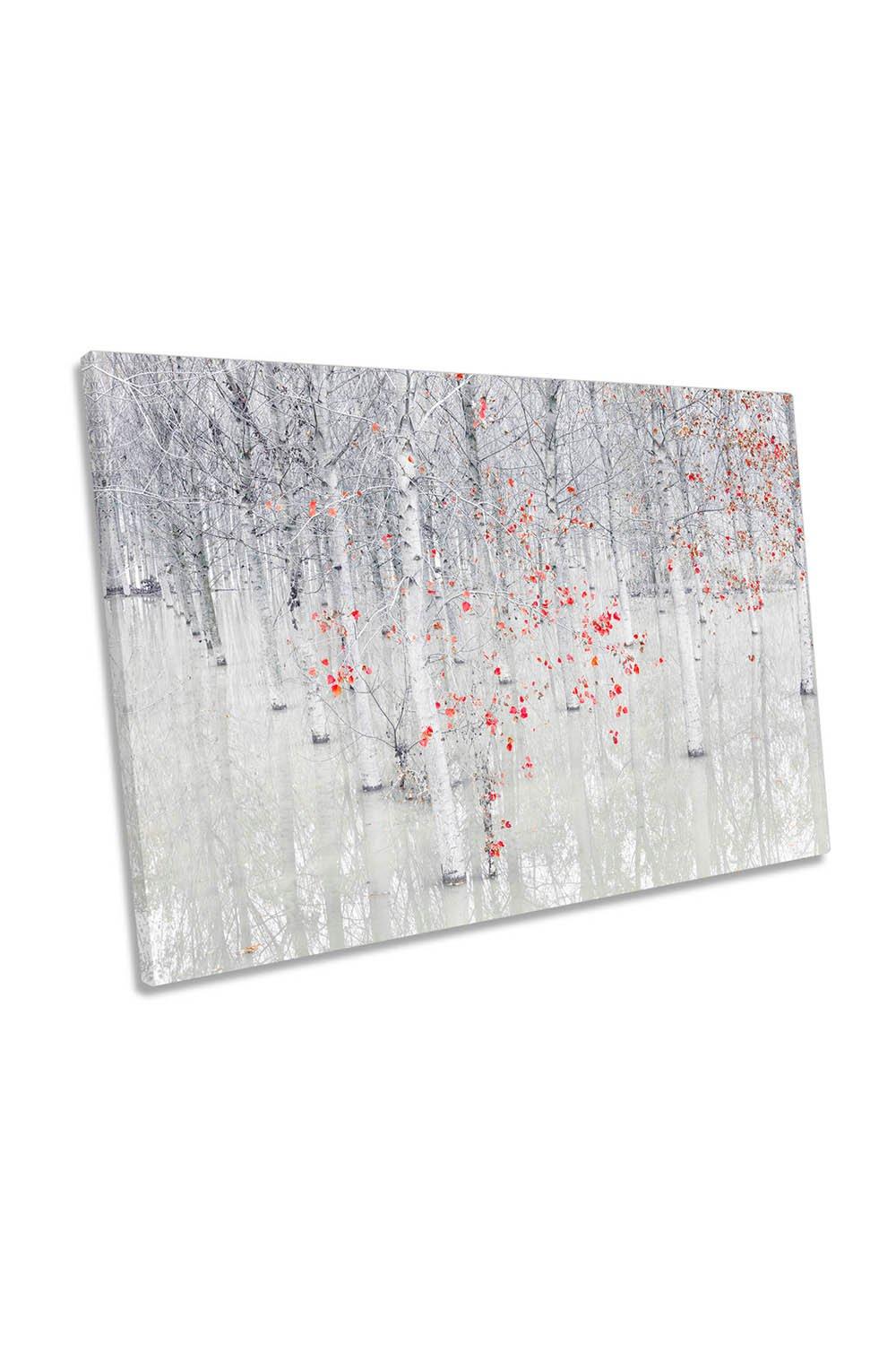 Red a White Forest Landscape Birch Trees Canvas Wall Art Picture Print