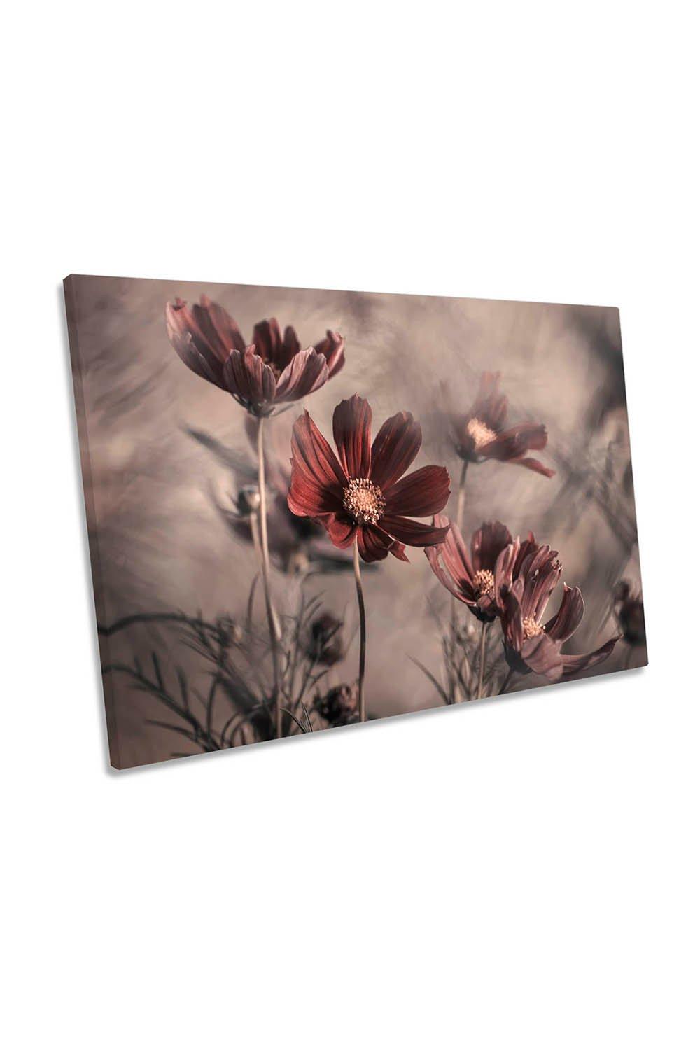 Cosmos Floral Flower Garden Canvas Wall Art Picture Print