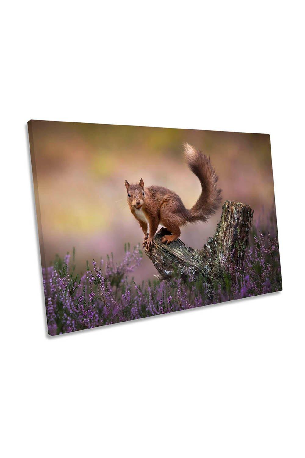 Squirrel Above the Heathers Wildlife Canvas Wall Art Picture Print