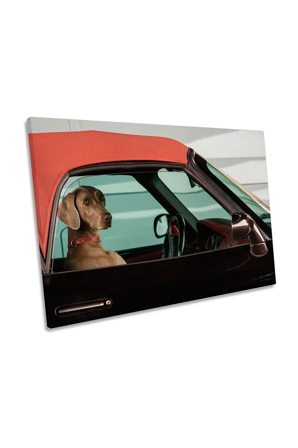 Lady Driver Dog Car Humour Canvas Wall Art Picture Print