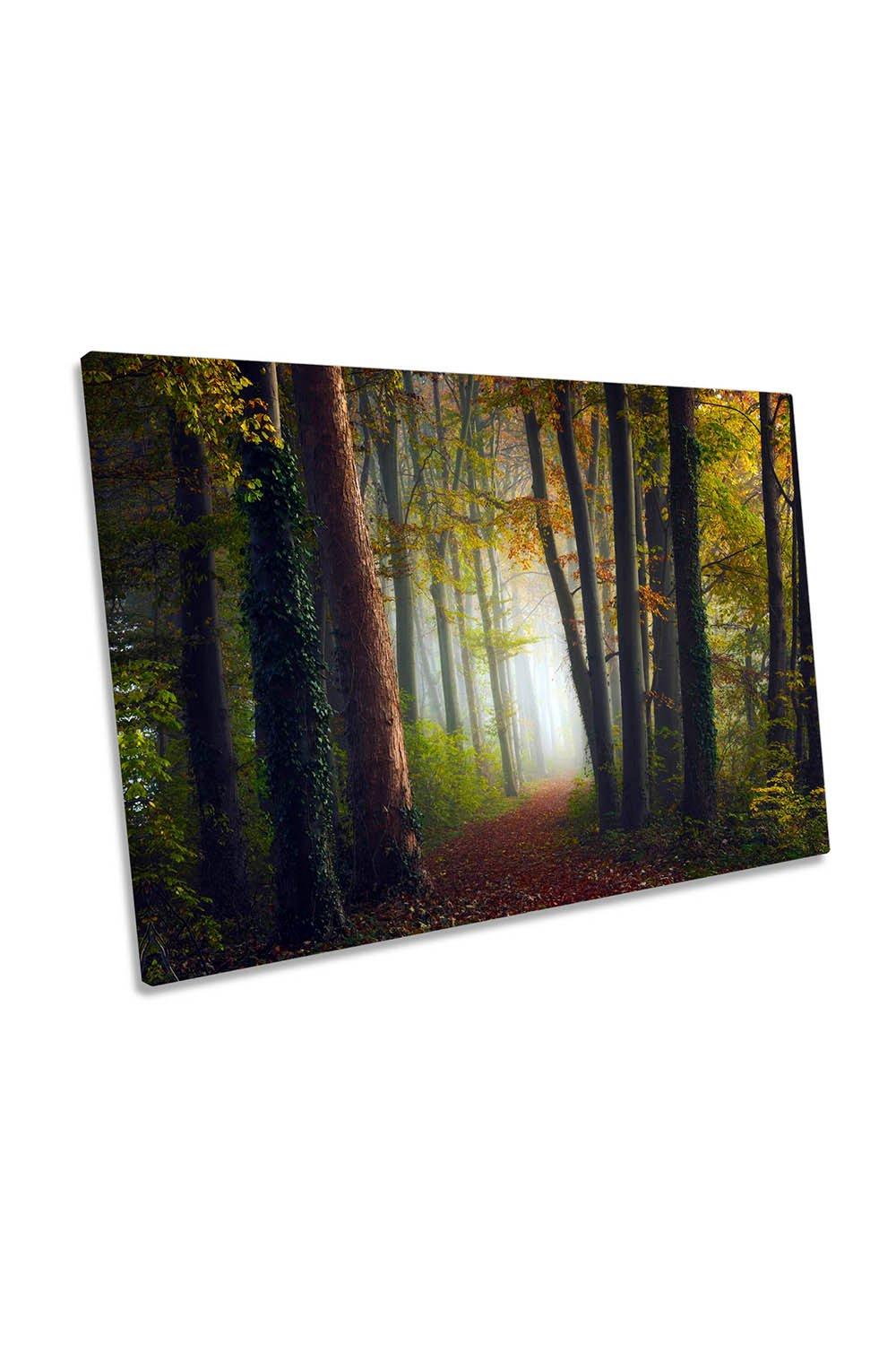 Autumn Colourful Forest Landscape Canvas Wall Art Picture Print