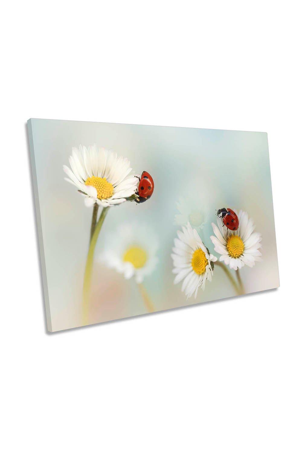 Springtime White Flower Red Ladybirds Canvas Wall Art Picture Print