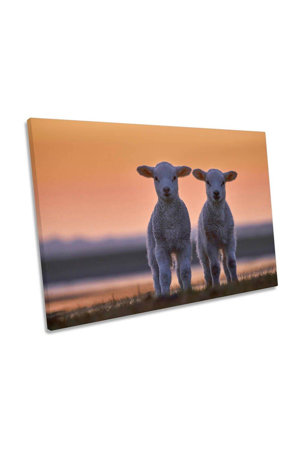 Lamb Twins Orange Sunset Farm Canvas Wall Art Picture Print