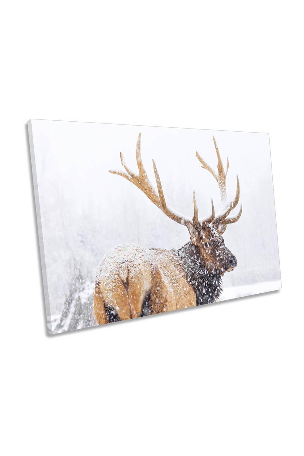 Winter Stag Deer Snow Canvas Wall Art Picture Print