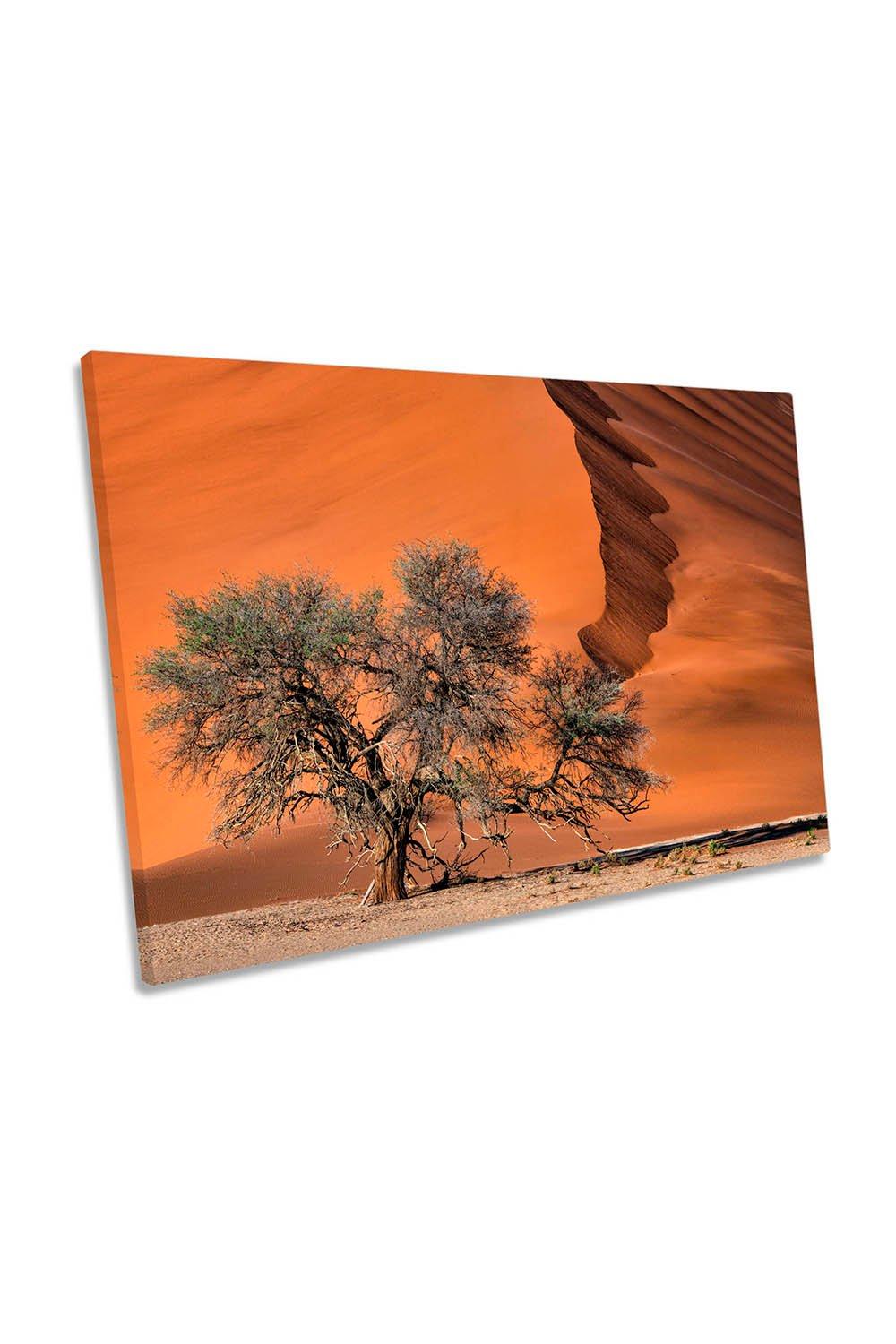 Acacia Tree in the Desert Sand Dune Canvas Wall Art Picture Print