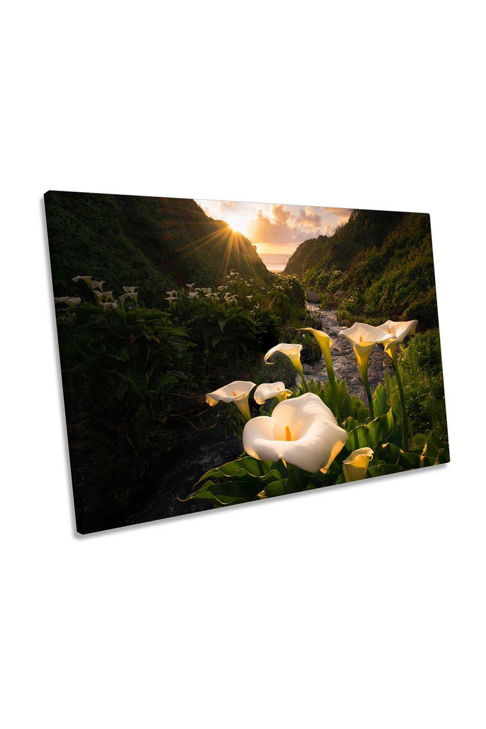 Calla Lily Flowers at the Coast Sunset Canvas Wall Art Picture Print