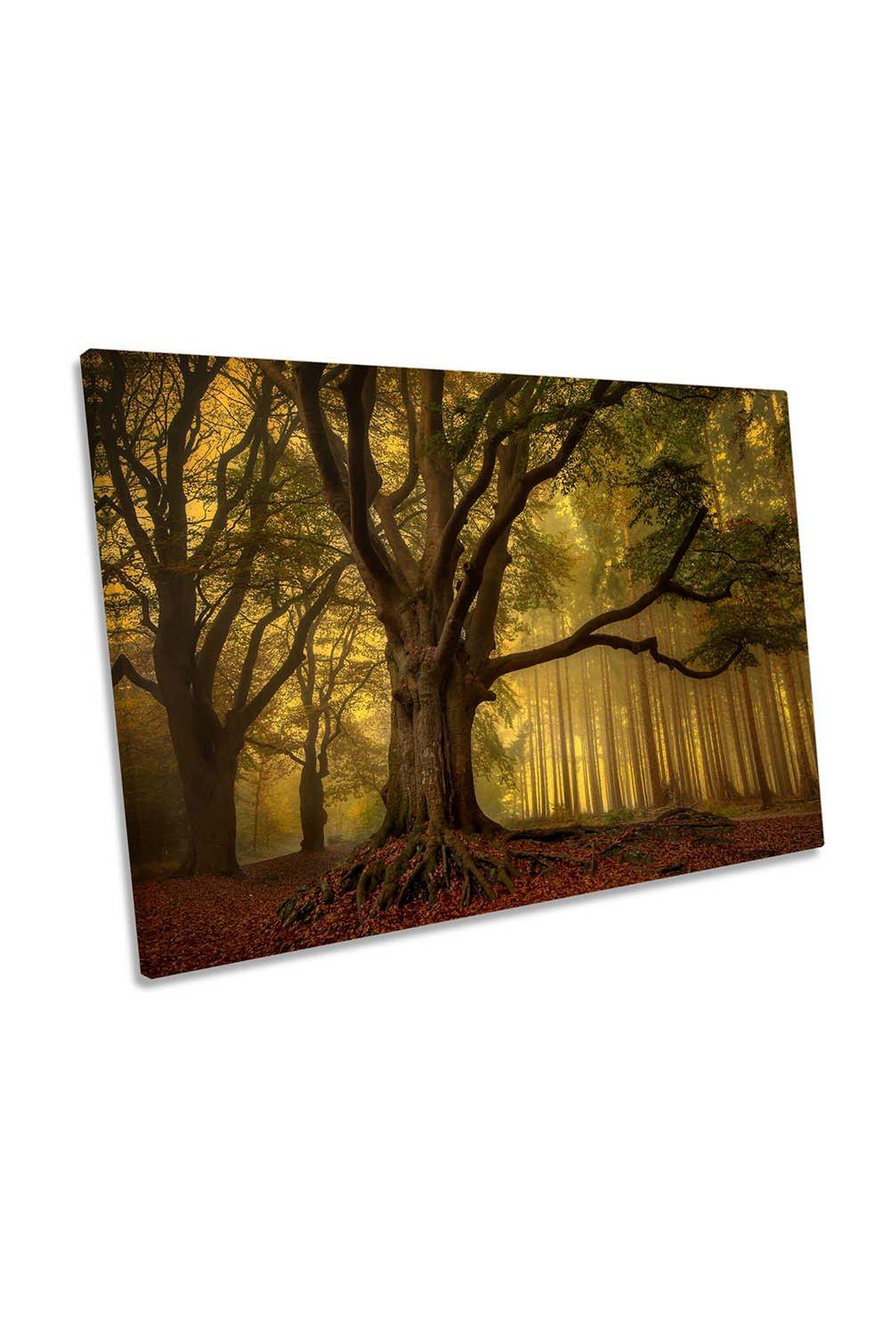 Old Tree Autumn Forest Misty Canvas Wall Art Picture Print