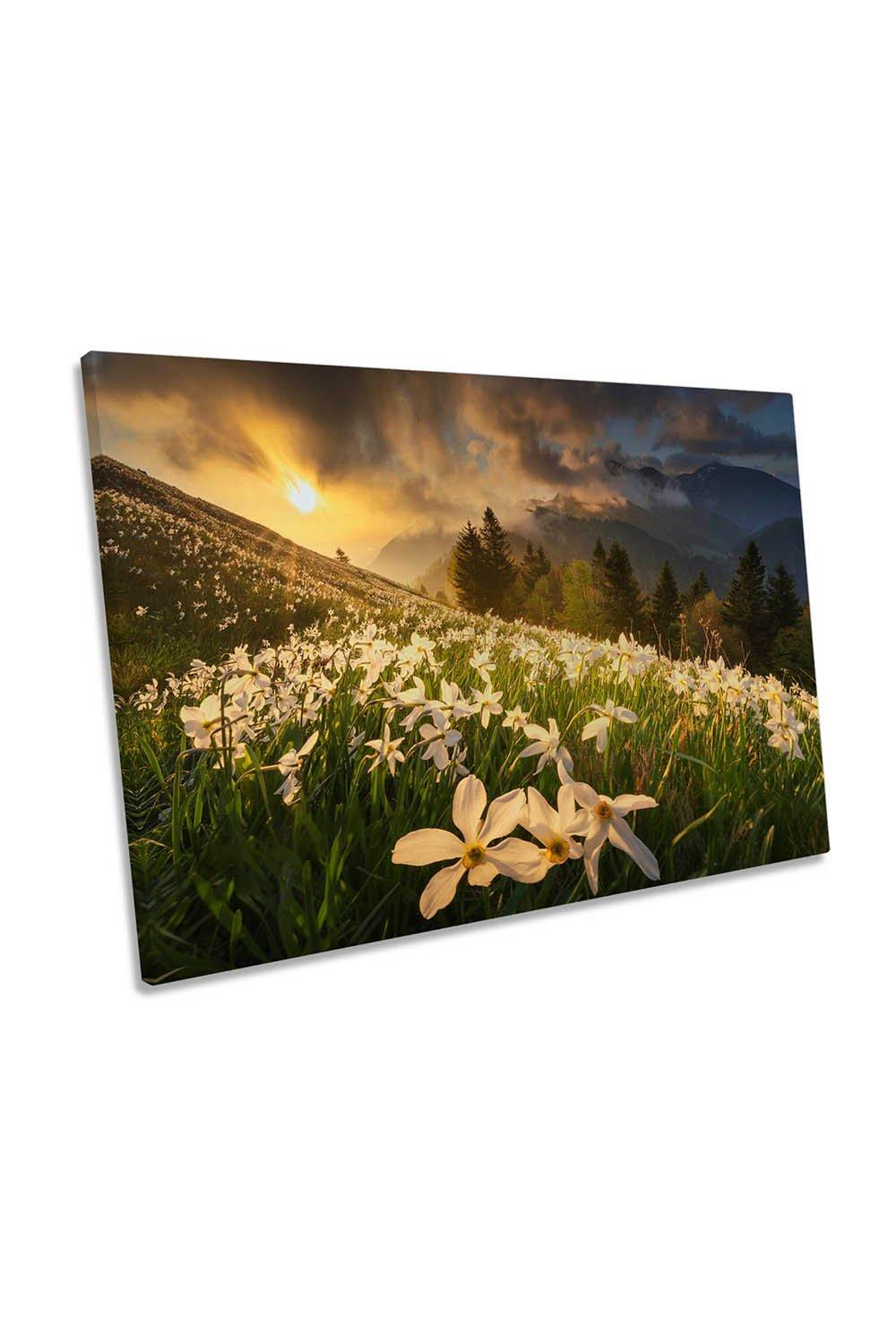 White Carpet of Flowers Spring Mountains Canvas Wall Art Picture Print