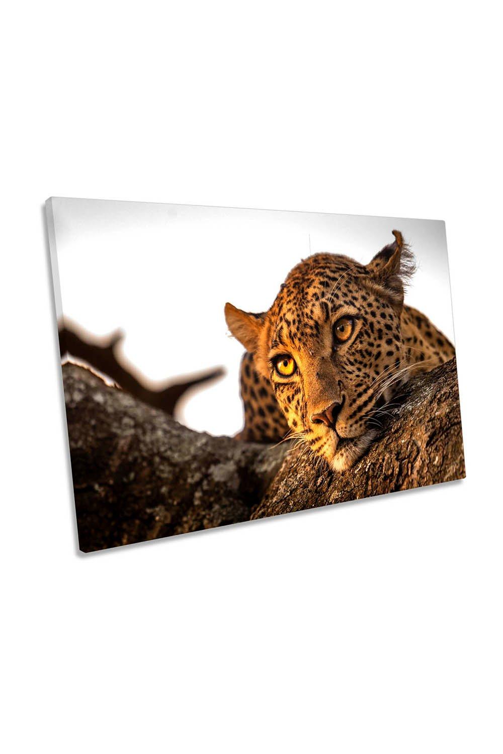 Leopard Eyes Wildlife Africa Canvas Wall Art Picture Print