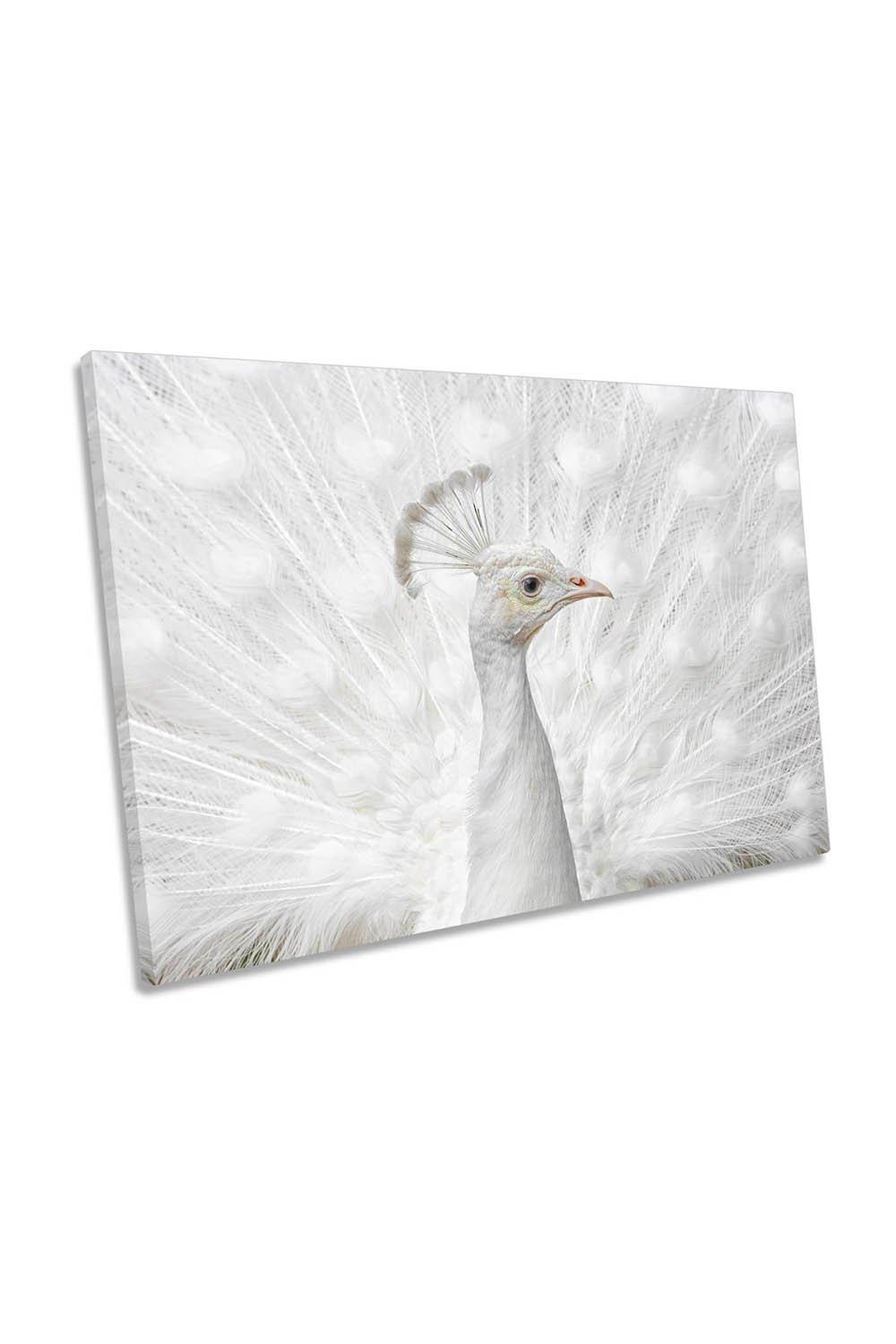 Immaculate White Peacock Feathers Canvas Wall Art Picture Print