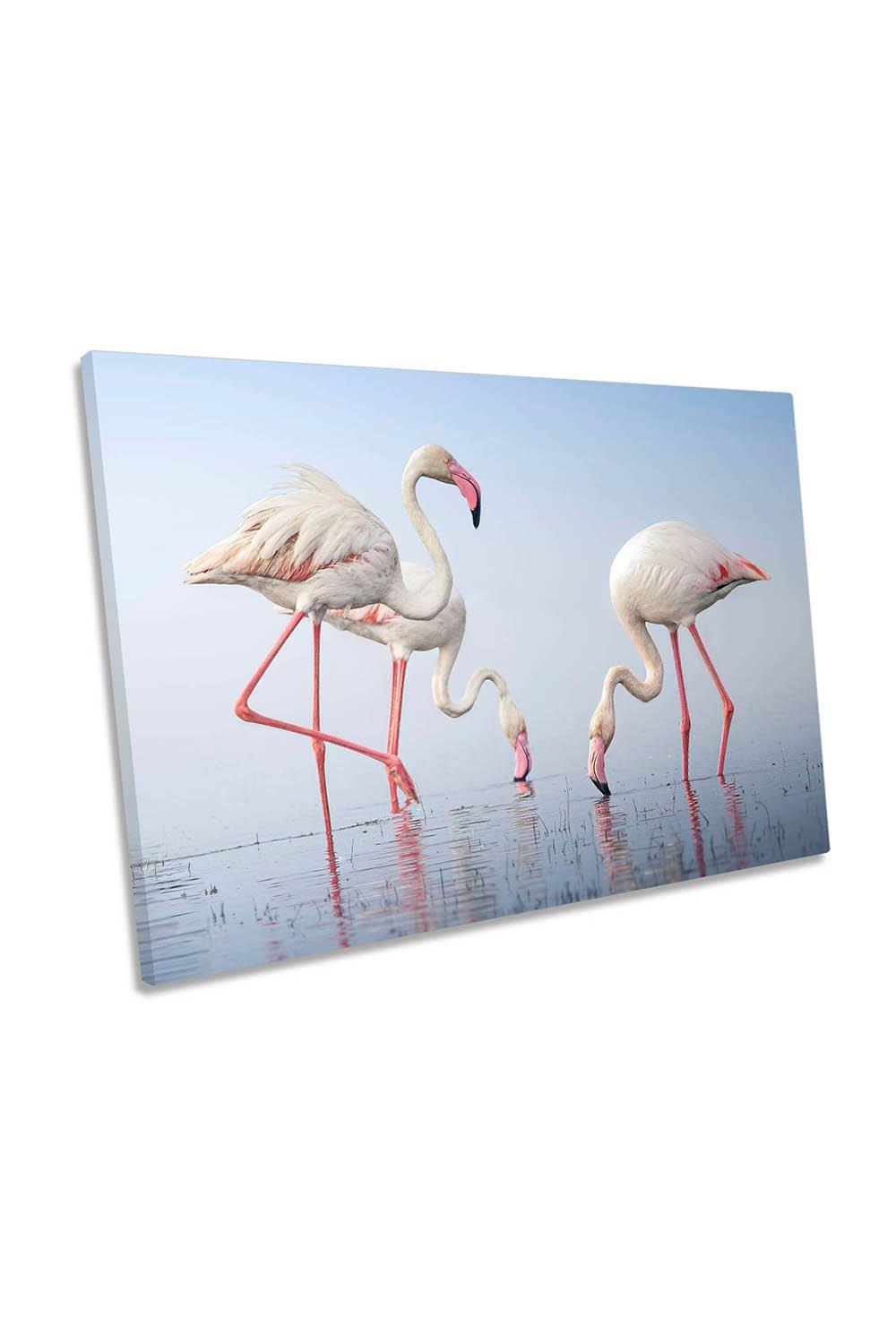 Pink Flamingos Birds Water Canvas Wall Art Picture Print