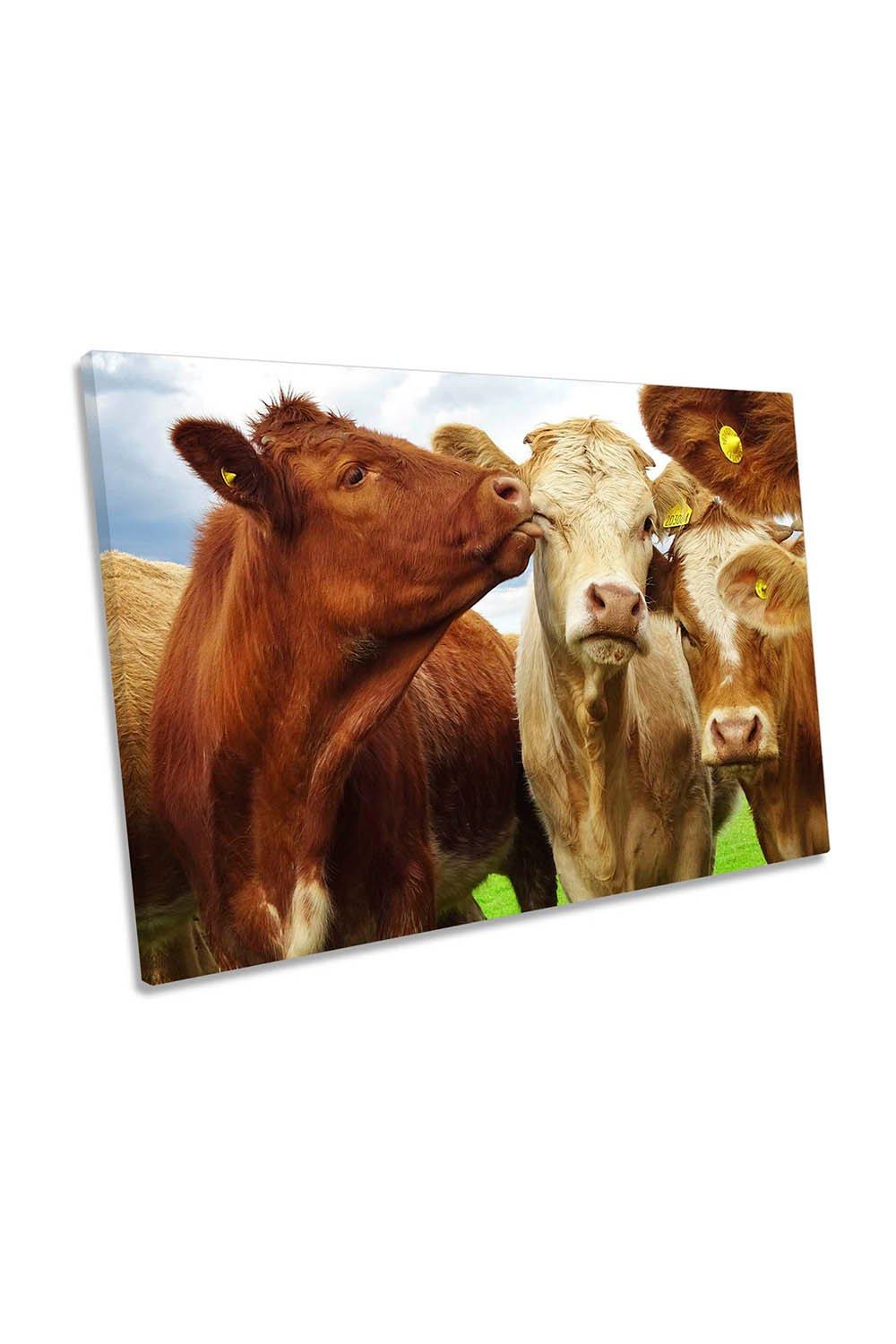 Pre Shoot Cows Humour Farm Canvas Wall Art Picture Print