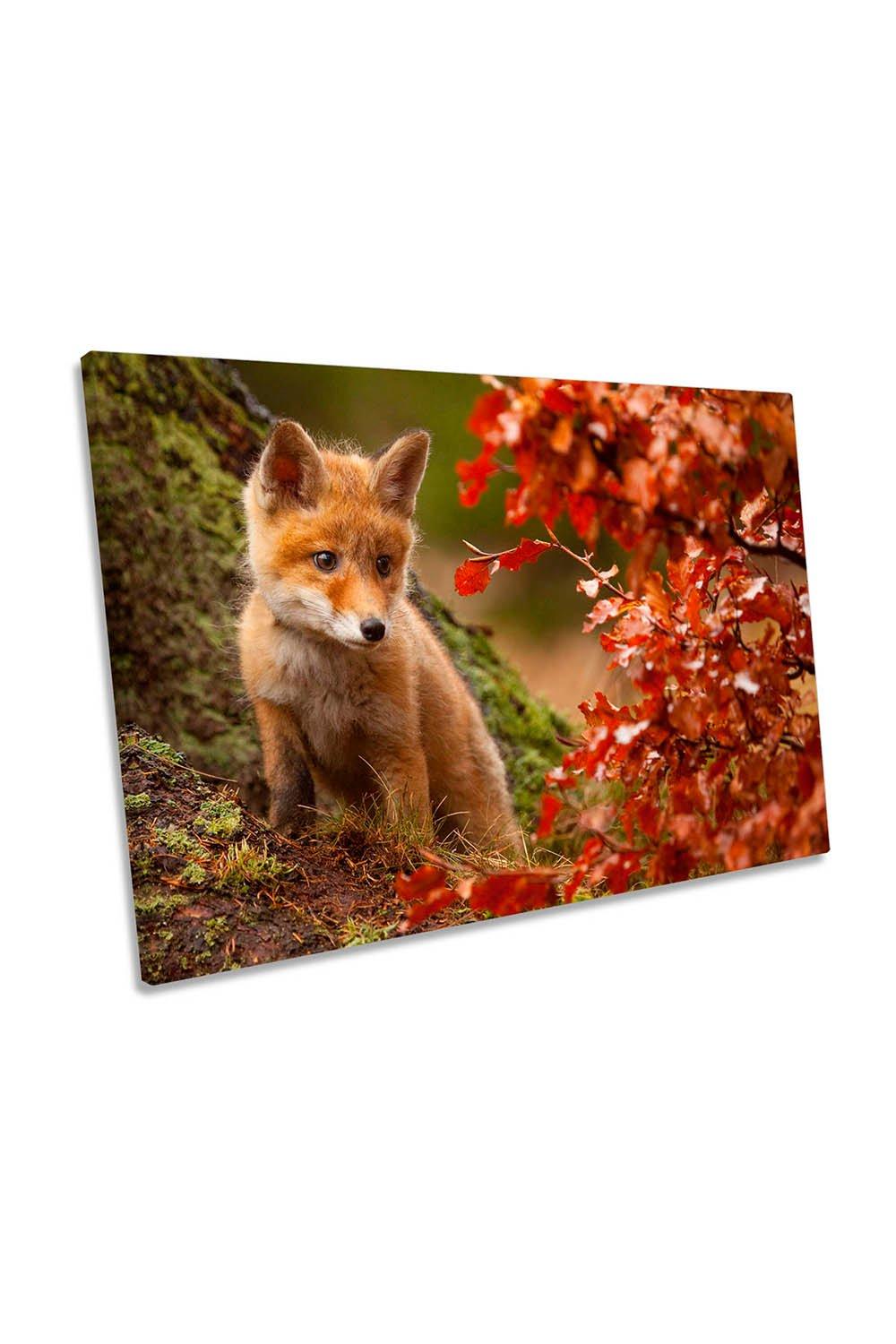 Baby Fox Autumn Wildlife Canvas Wall Art Picture Print