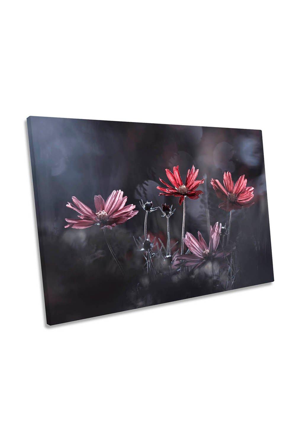 Red Flower Floral Shadows Garden Canvas Wall Art Picture Print