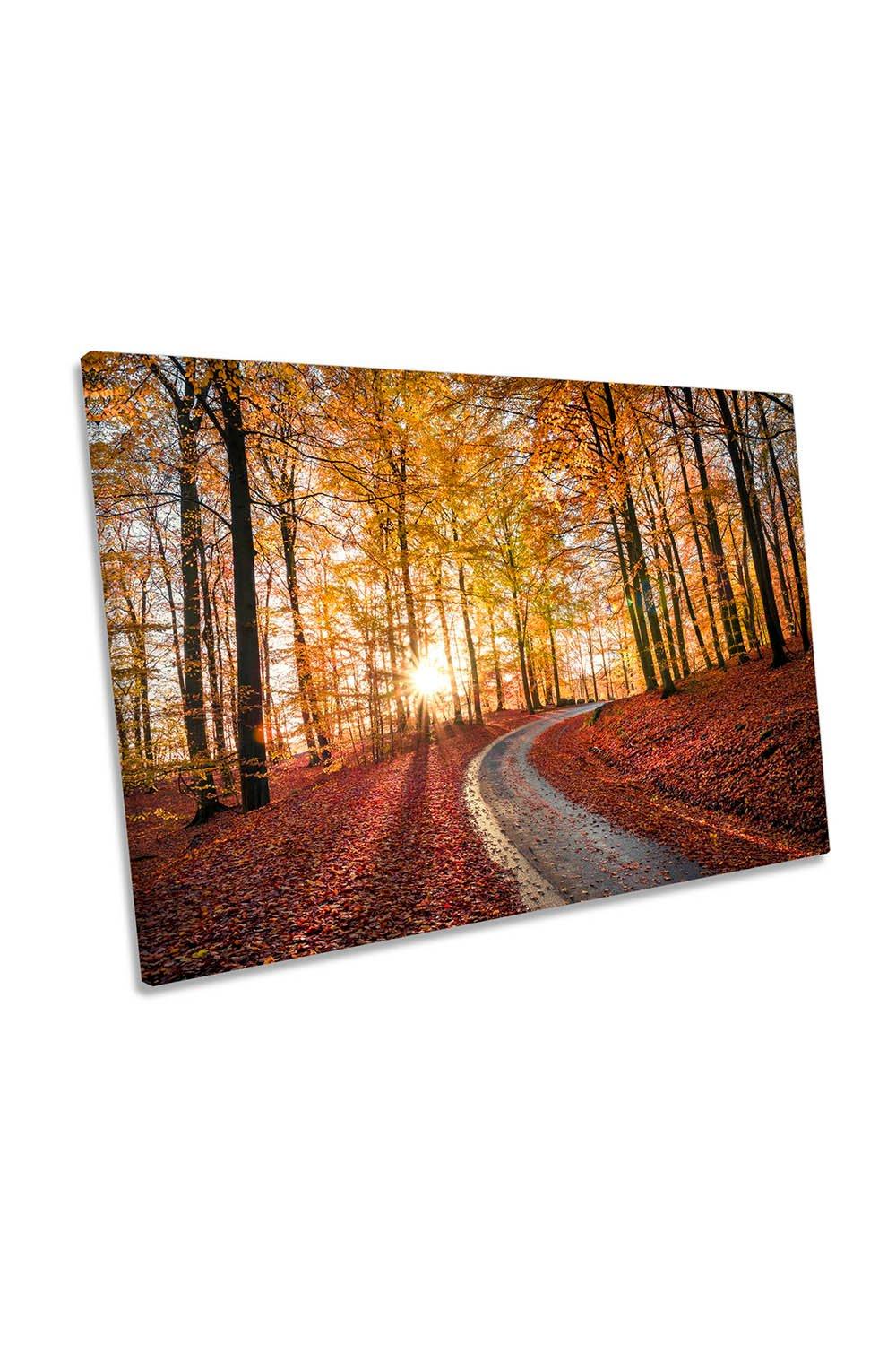 Autumn Leaves Roadway Path Forest Canvas Wall Art Picture Print
