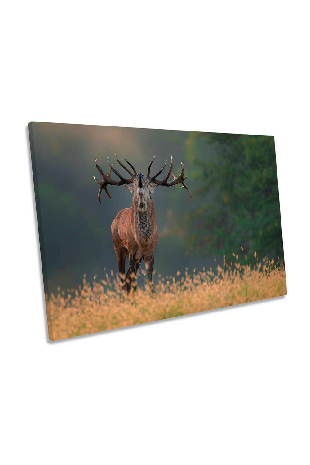 Stag Wedding Song Deer Wildlife Canvas Wall Art Picture Print