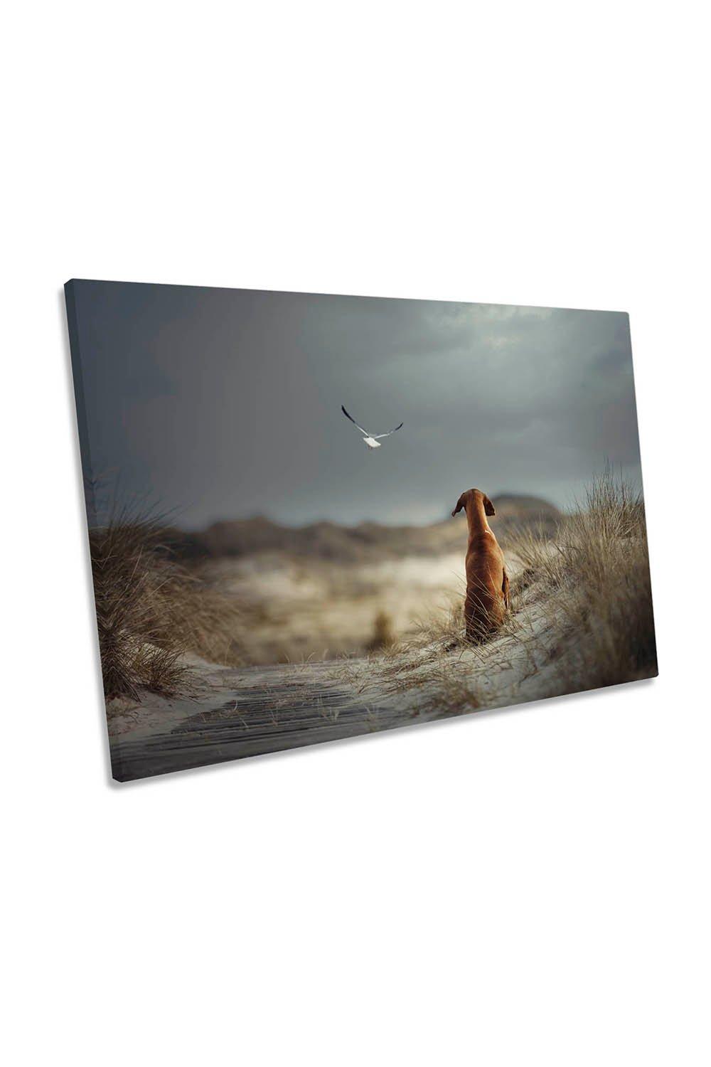 Freedom Seagull Dog Beach Canvas Wall Art Picture Print