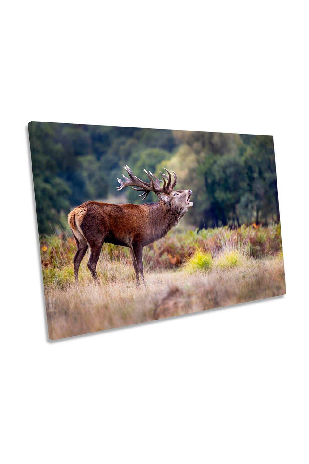 The Scream of the Deer Stag Antlers Canvas Wall Art Picture Print