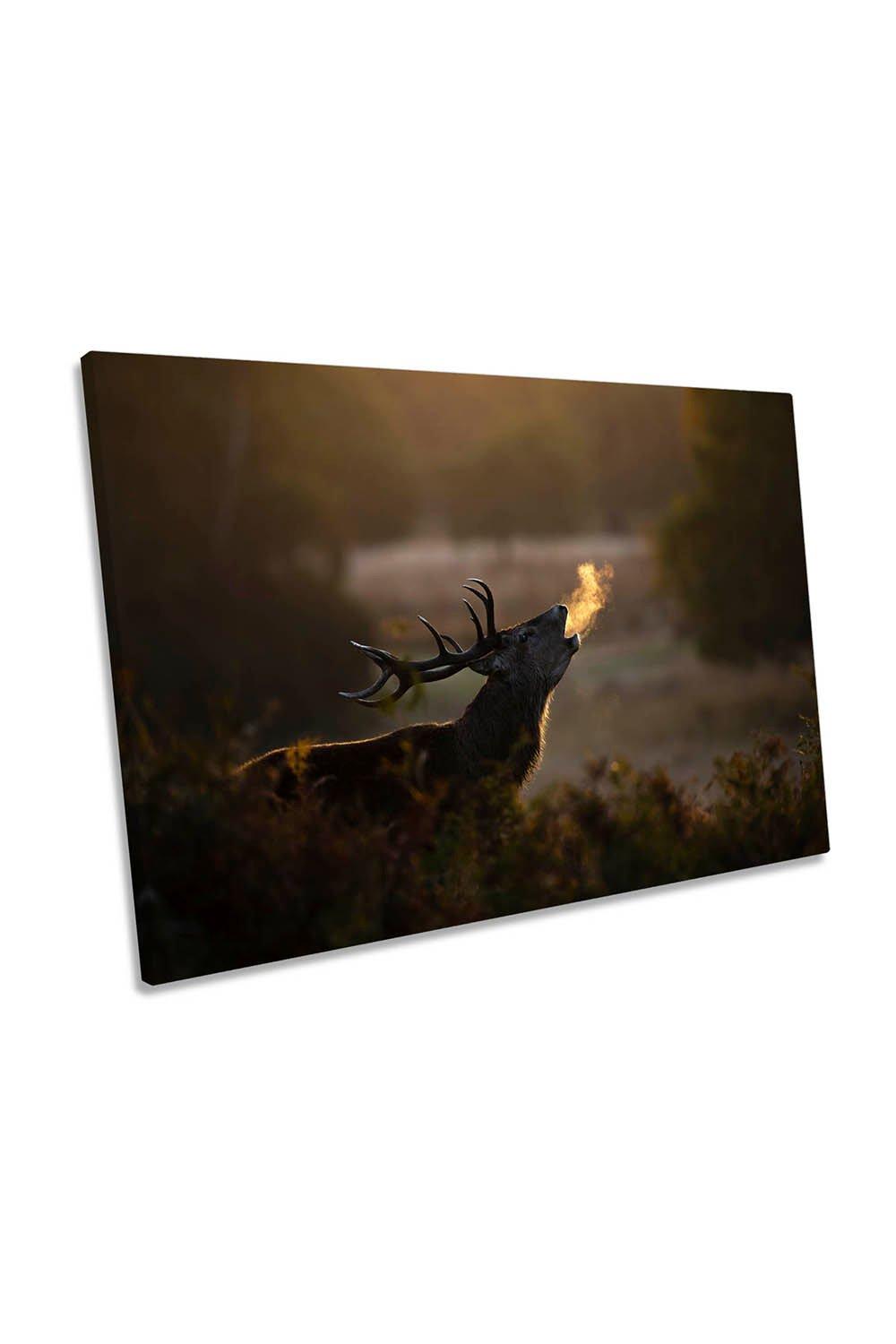 Dragon Breathe Stag Wildlife Deer Canvas Wall Art Picture Print