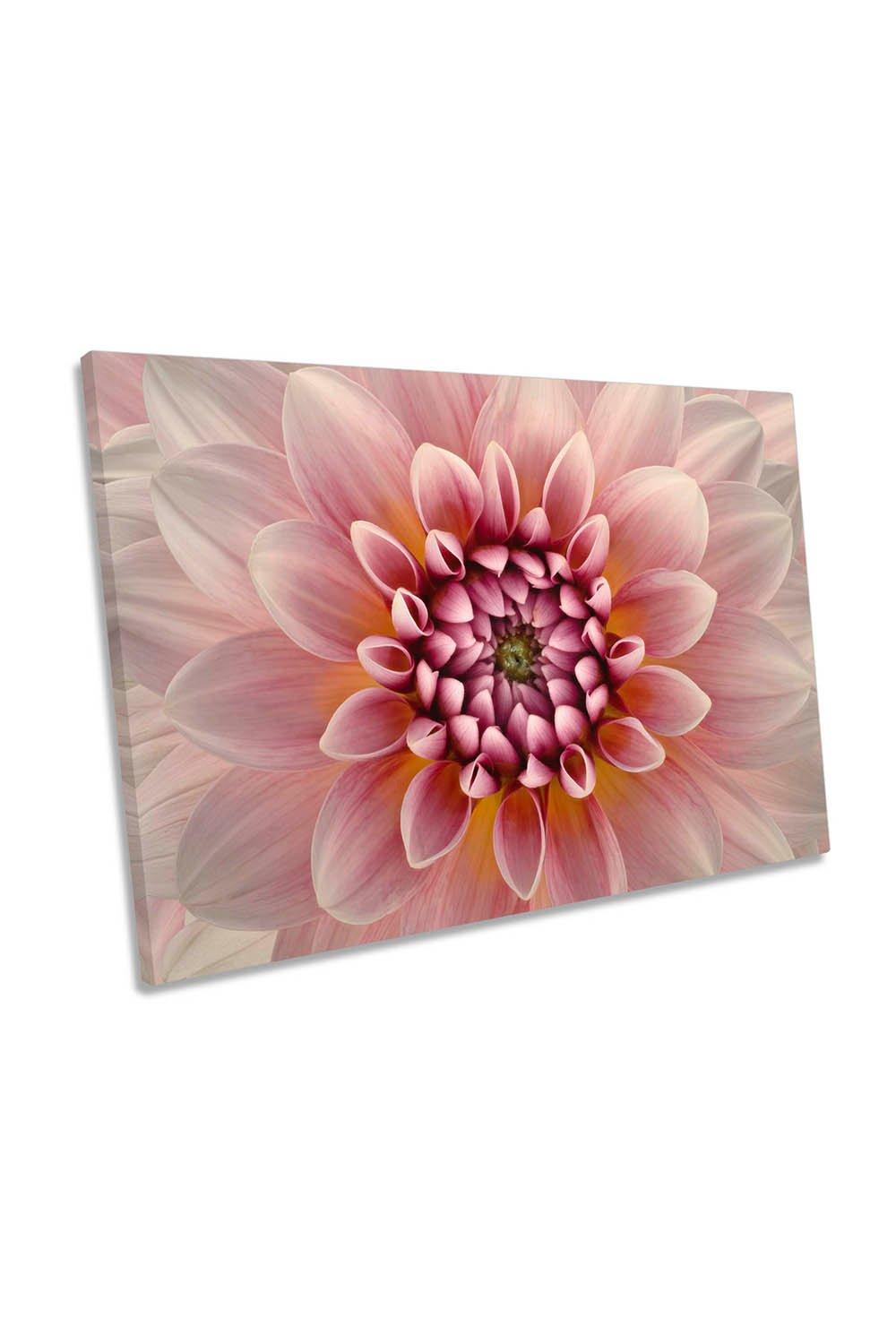 Blush Pink Dahlia Flower Floral Canvas Wall Art Picture Print