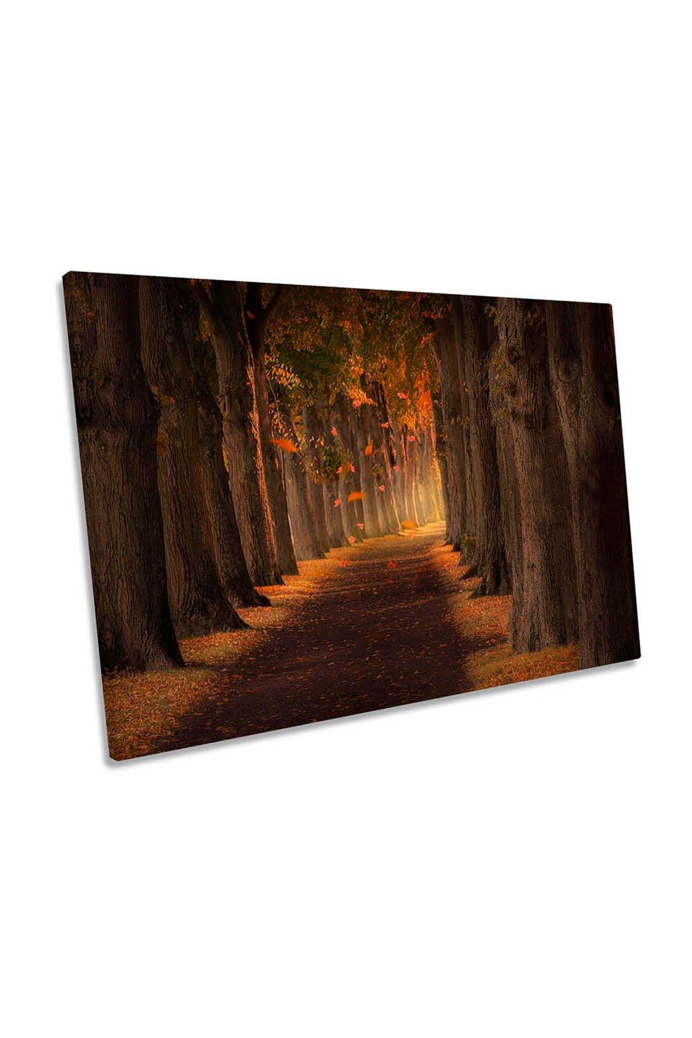 Autumn Park Pathway Tree Tunnel Orange Canvas Wall Art Picture Print