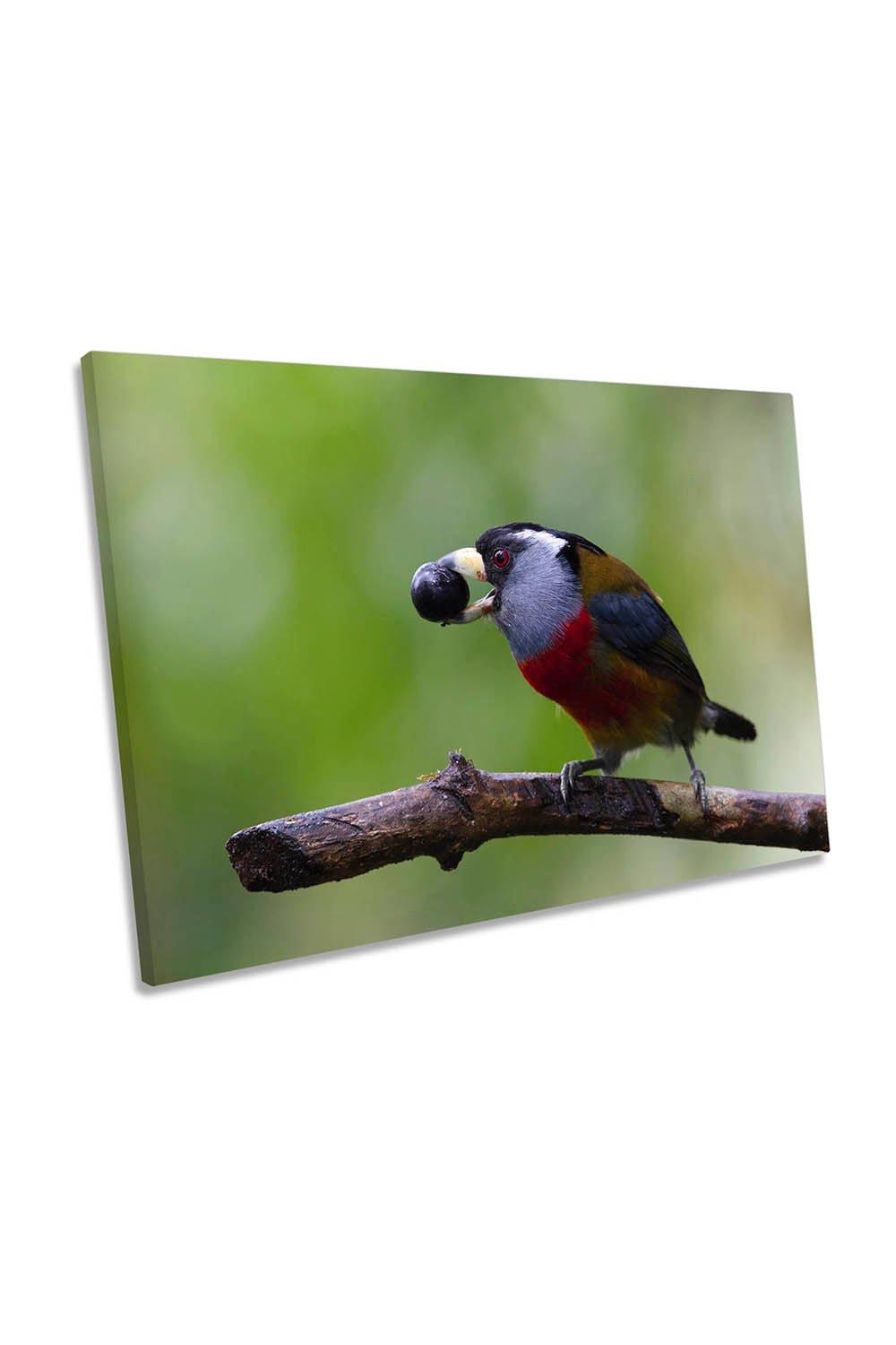 Bird Eating Fruit Branch Green Canvas Wall Art Picture Print