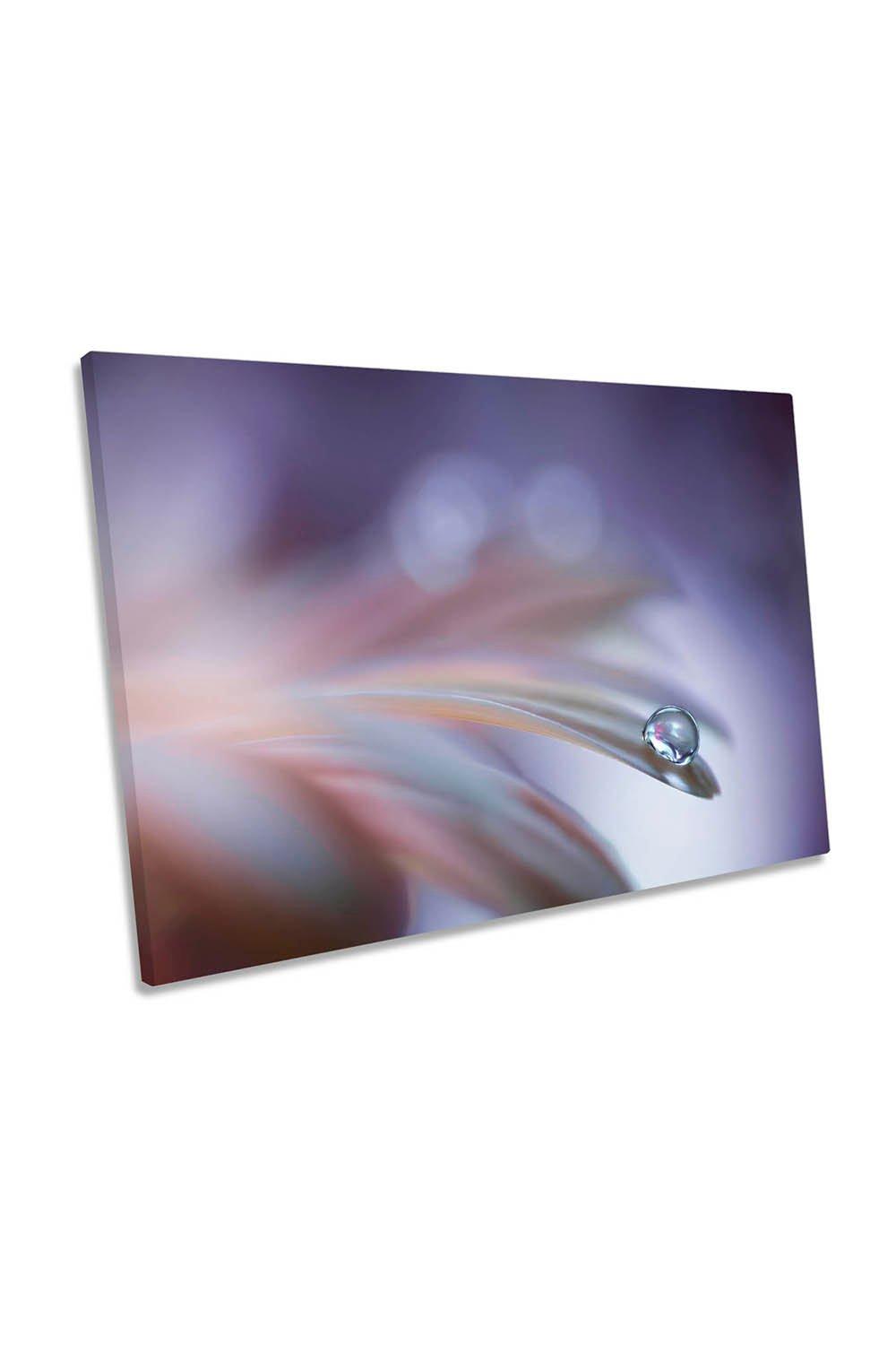Sound of Soul Petals Water Droplet Canvas Wall Art Picture Print