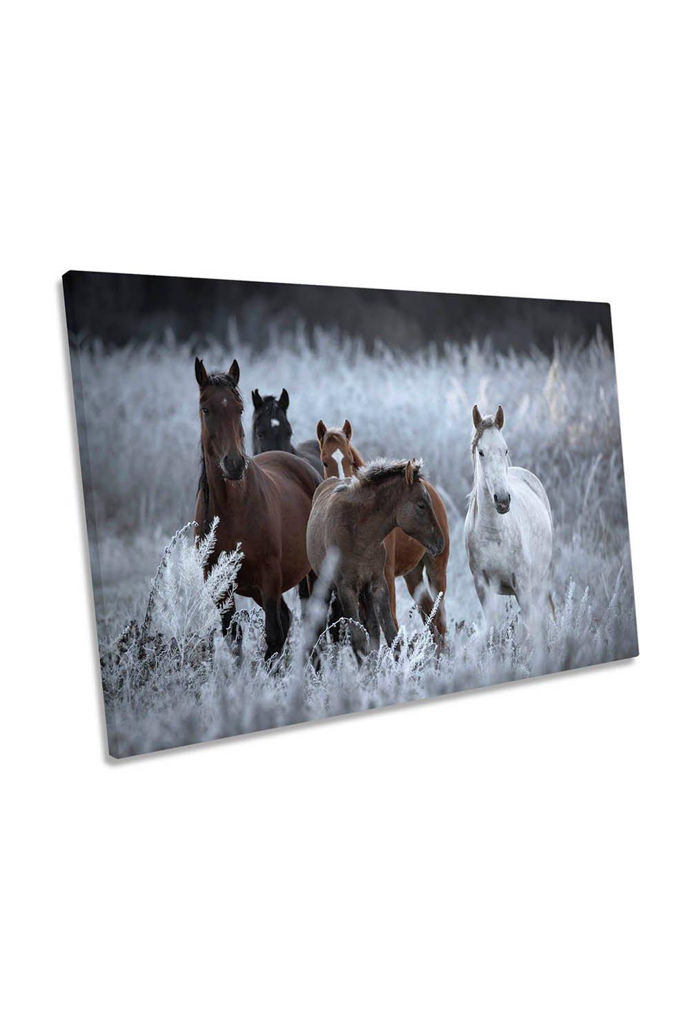 One Frosty Morning Horses Canvas Wall Art Picture Print