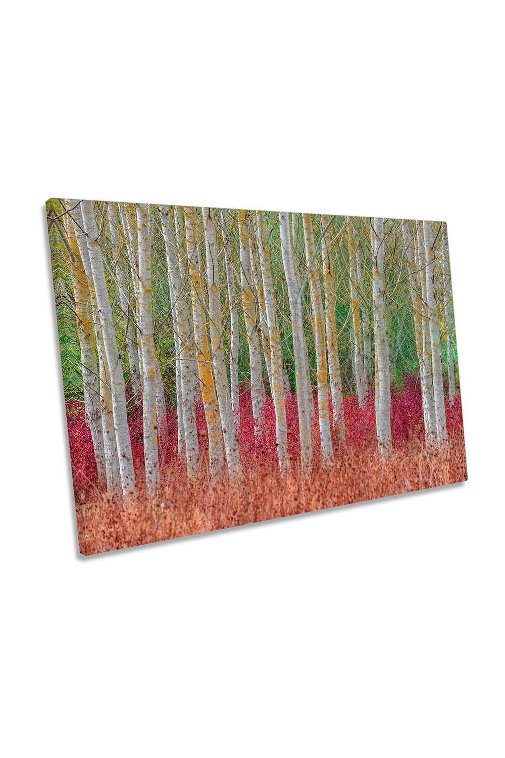 Birch Rainbow Forest Floral Canvas Wall Art Picture Print