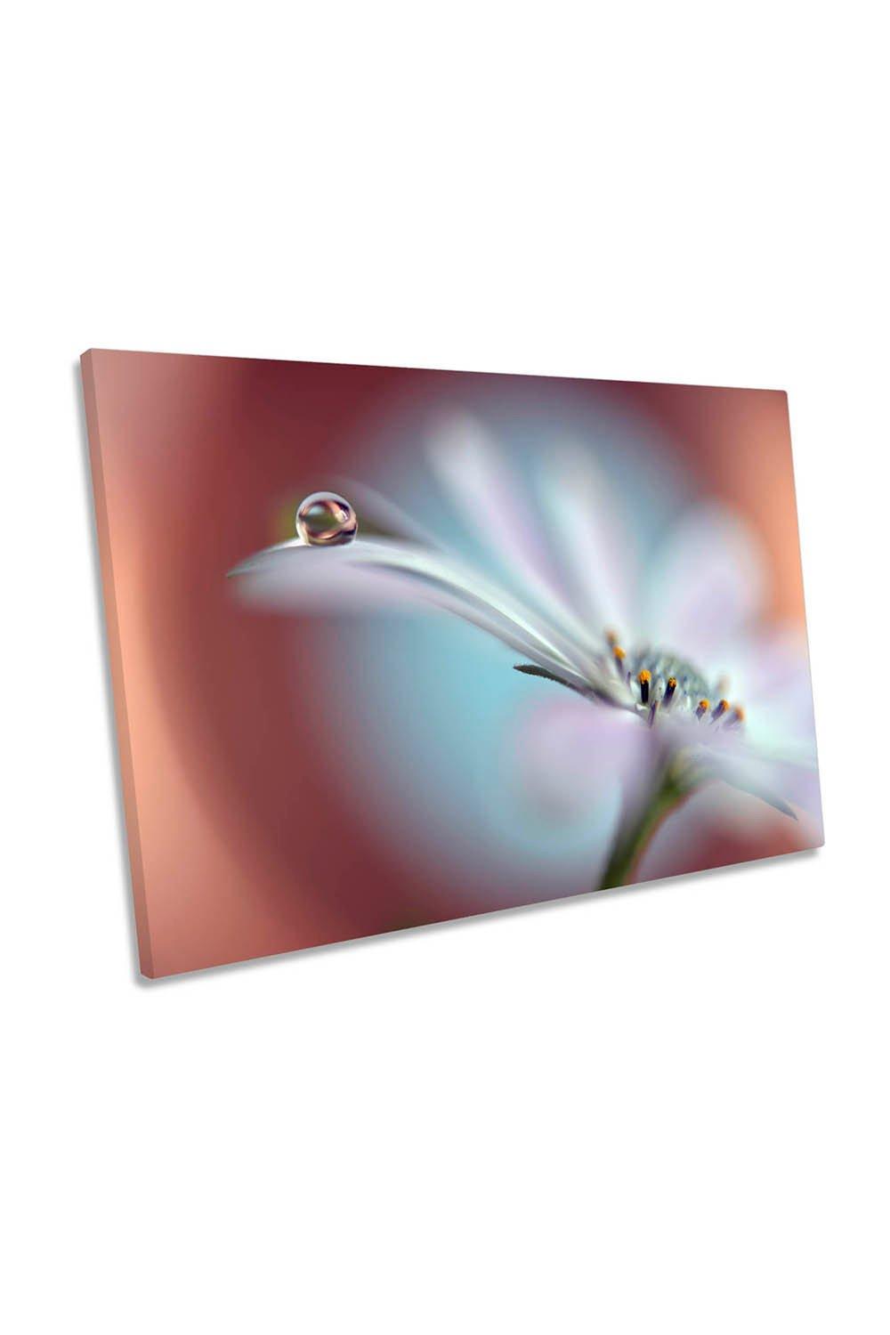 Summer Dream Water Drop White Flower Canvas Wall Art Picture Print