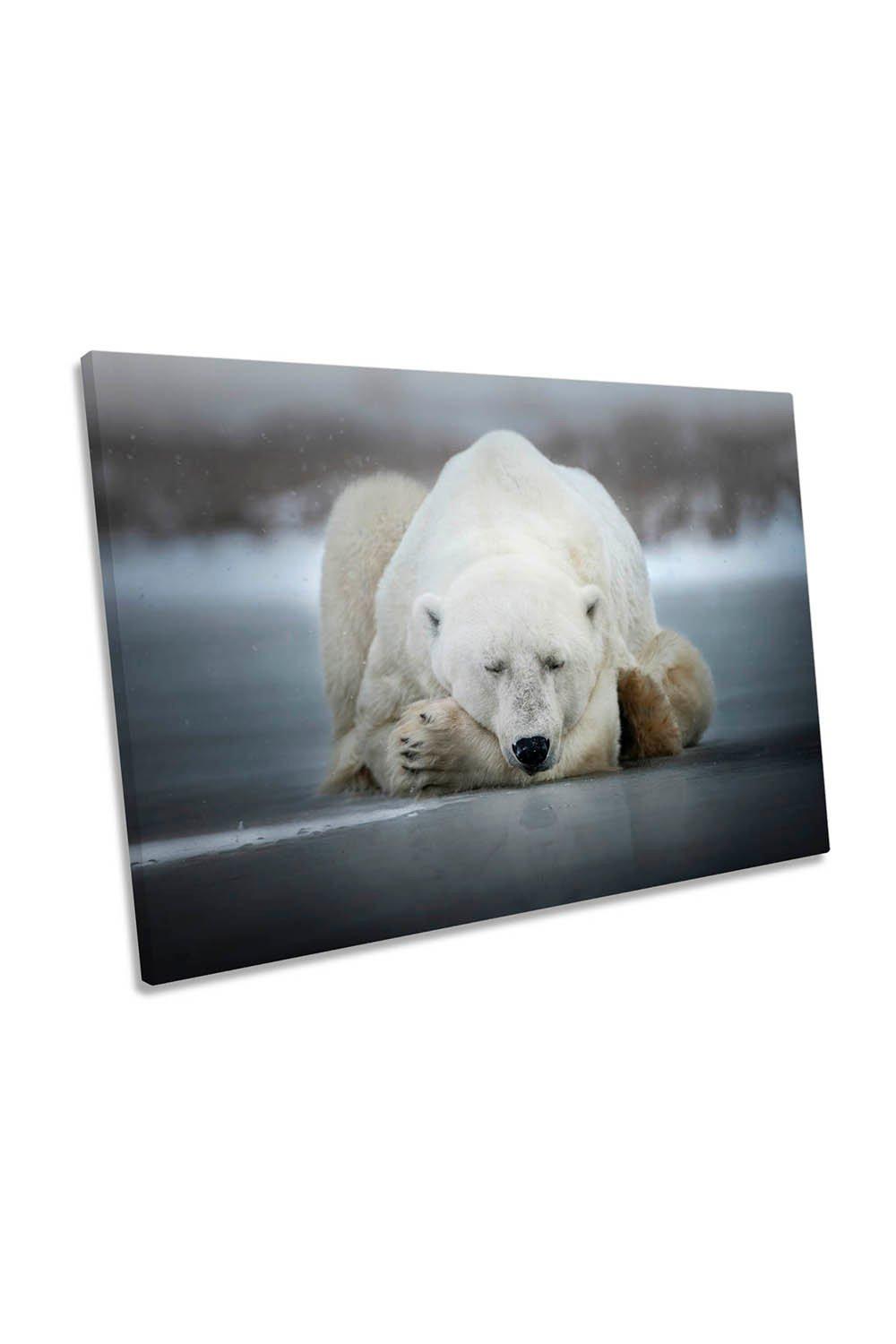 Dreaming White Polar Bear Sleeping Canvas Wall Art Picture Print