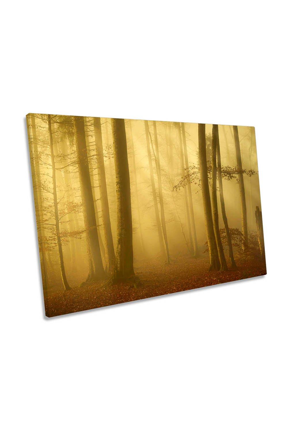 Sunlit Autumn Misty Morning Forest Canvas Wall Art Picture Print