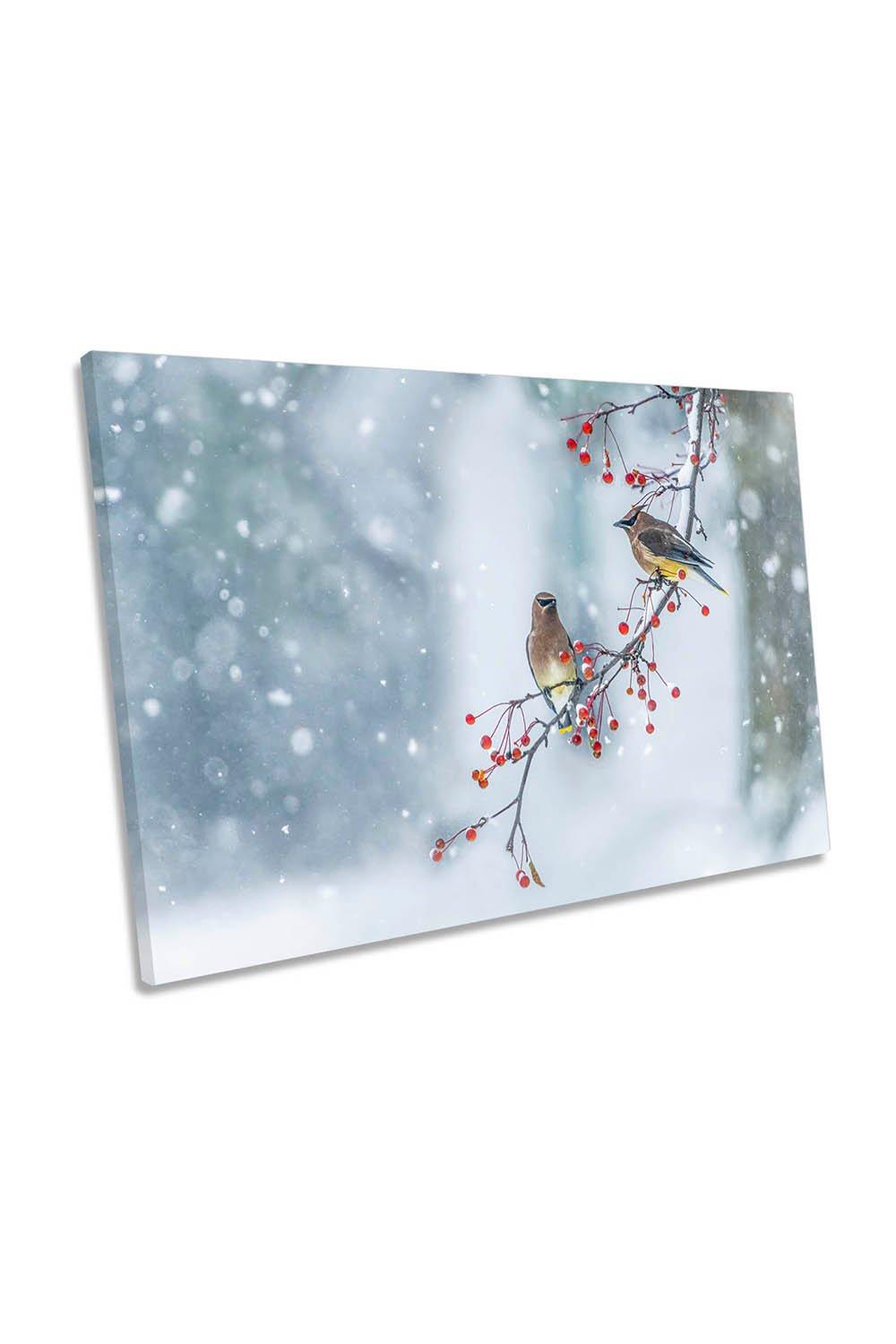 Colours of Winter Birds Wildlife Canvas Wall Art Picture Print