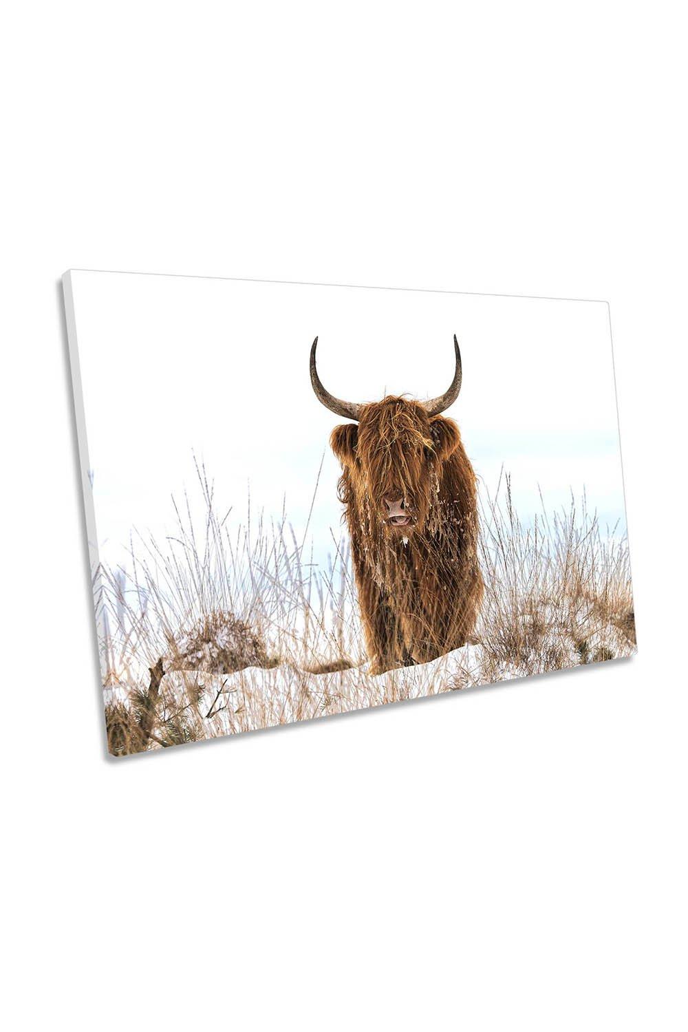 Highland Scottish Cow in the Snow Canvas Wall Art Picture Print