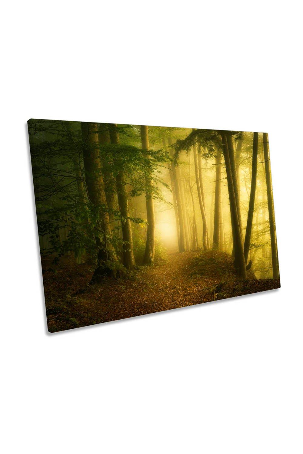 Mysterious Spring Morning Forest Canvas Wall Art Picture Print