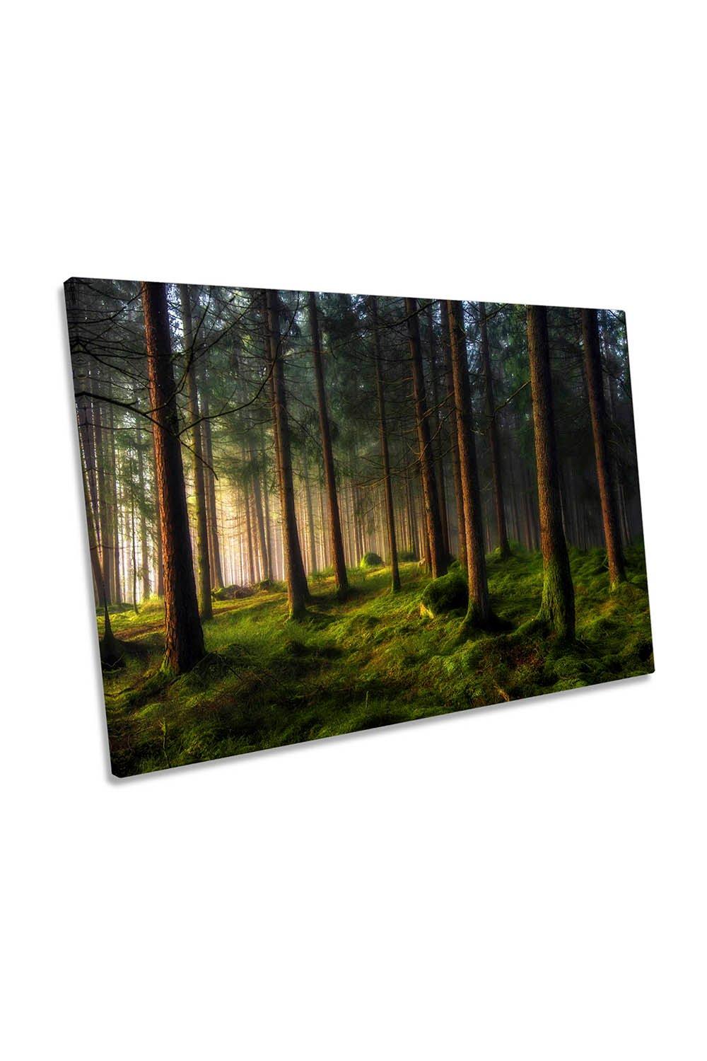 A Sense of Spring in the Forest Landscape Canvas Wall Art Picture Print