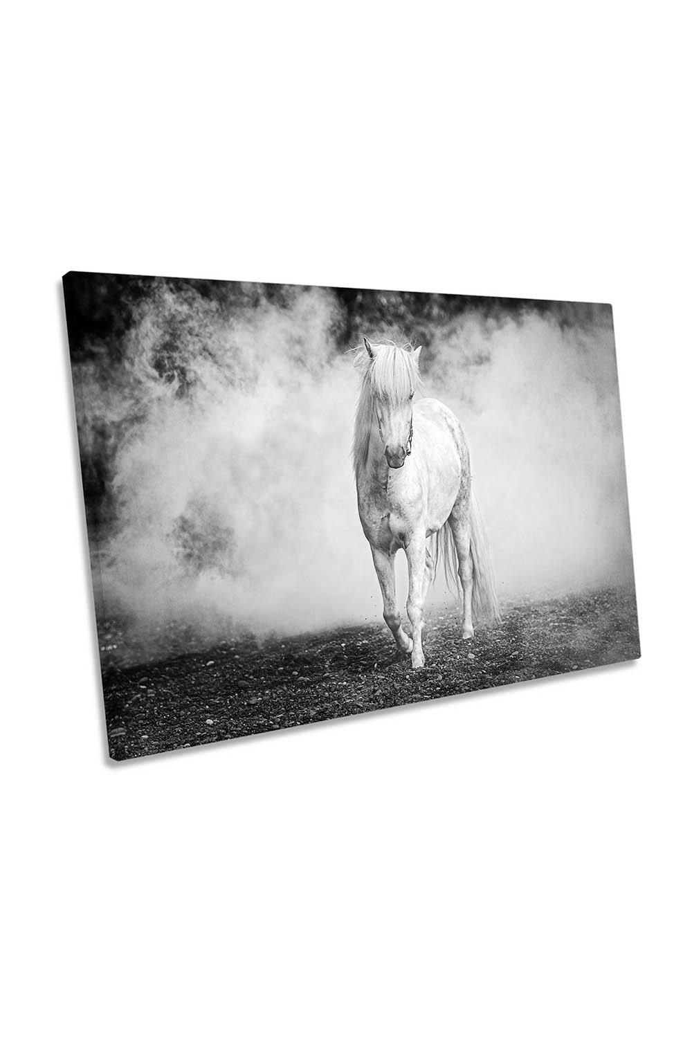 Icelandic Pony Horse Black and White Canvas Wall Art Picture Print