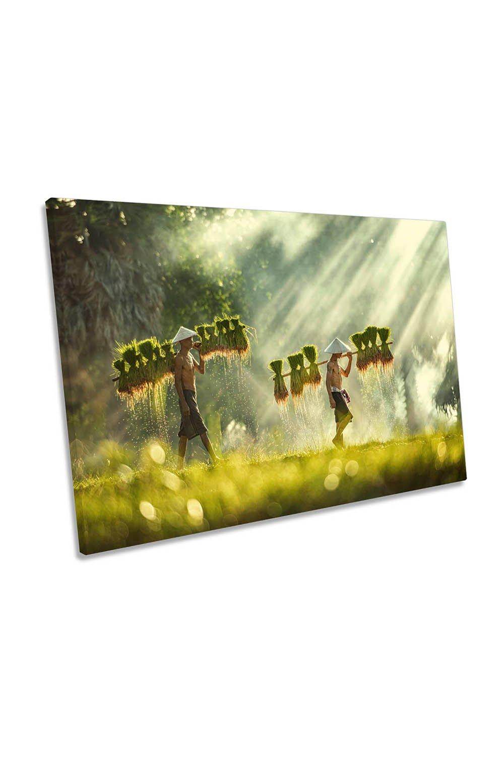 Thailand Rice Farmers Traditional Canvas Wall Art Picture Print