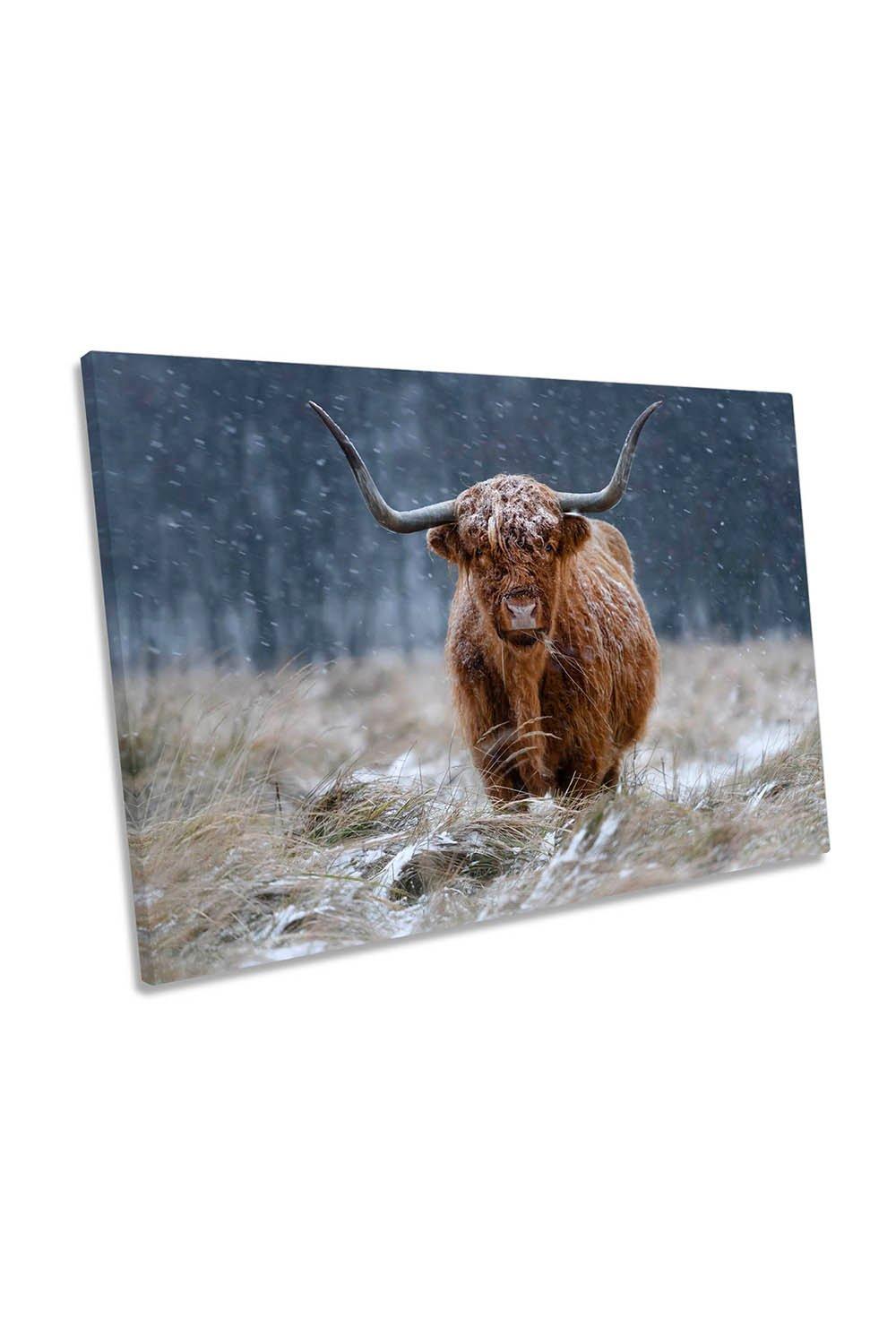 Snowy Highland Cow Scotland Canvas Wall Art Picture Print