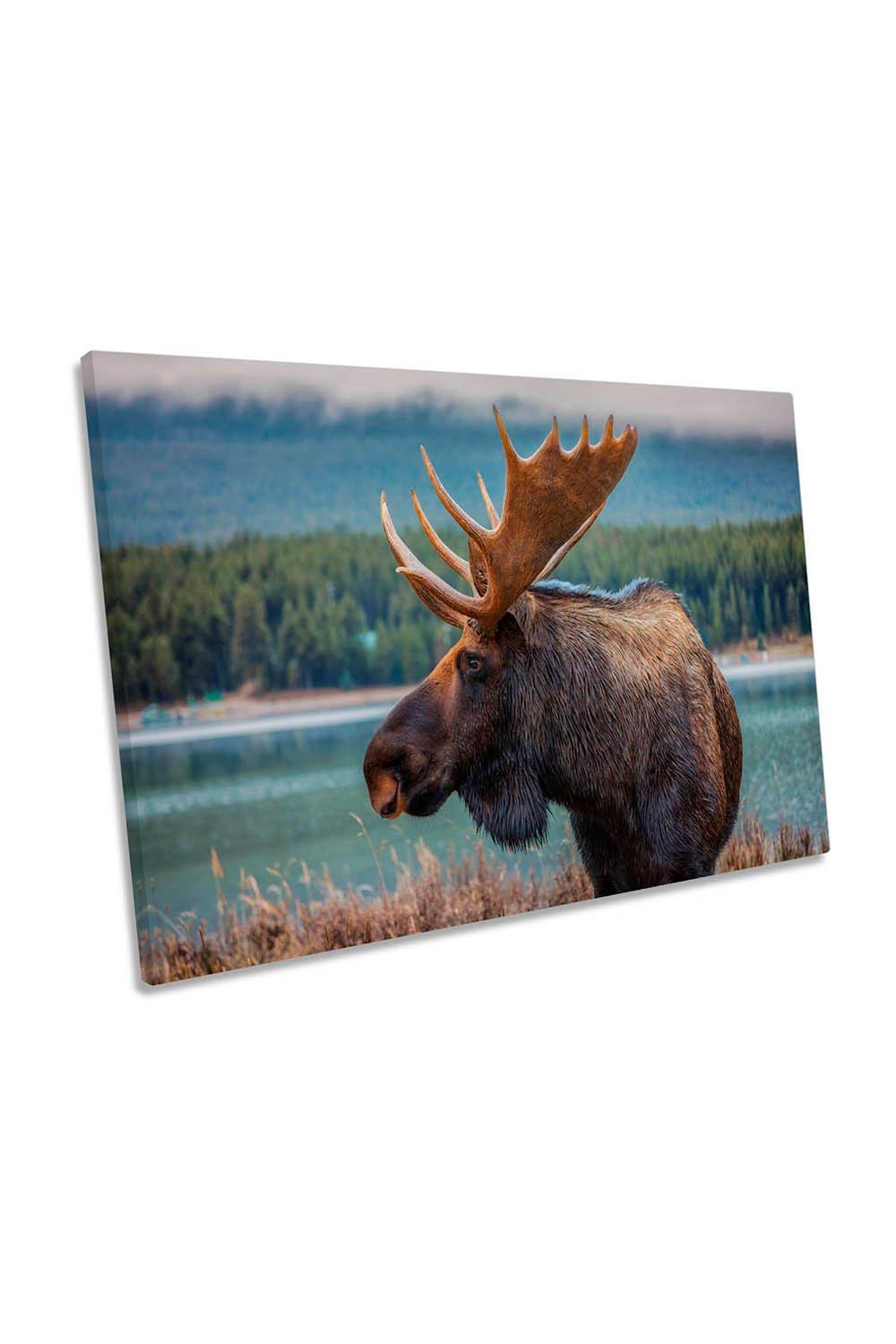 Canadian Moose Antlers Canvas Wall Art Picture Print