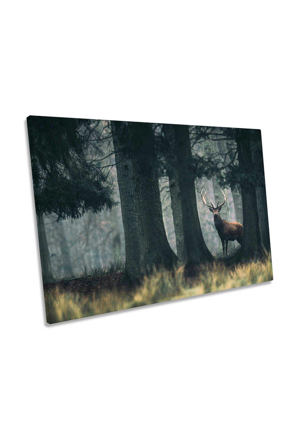 King of the Forest Stag Deer Wildlife Canvas Wall Art Picture Print