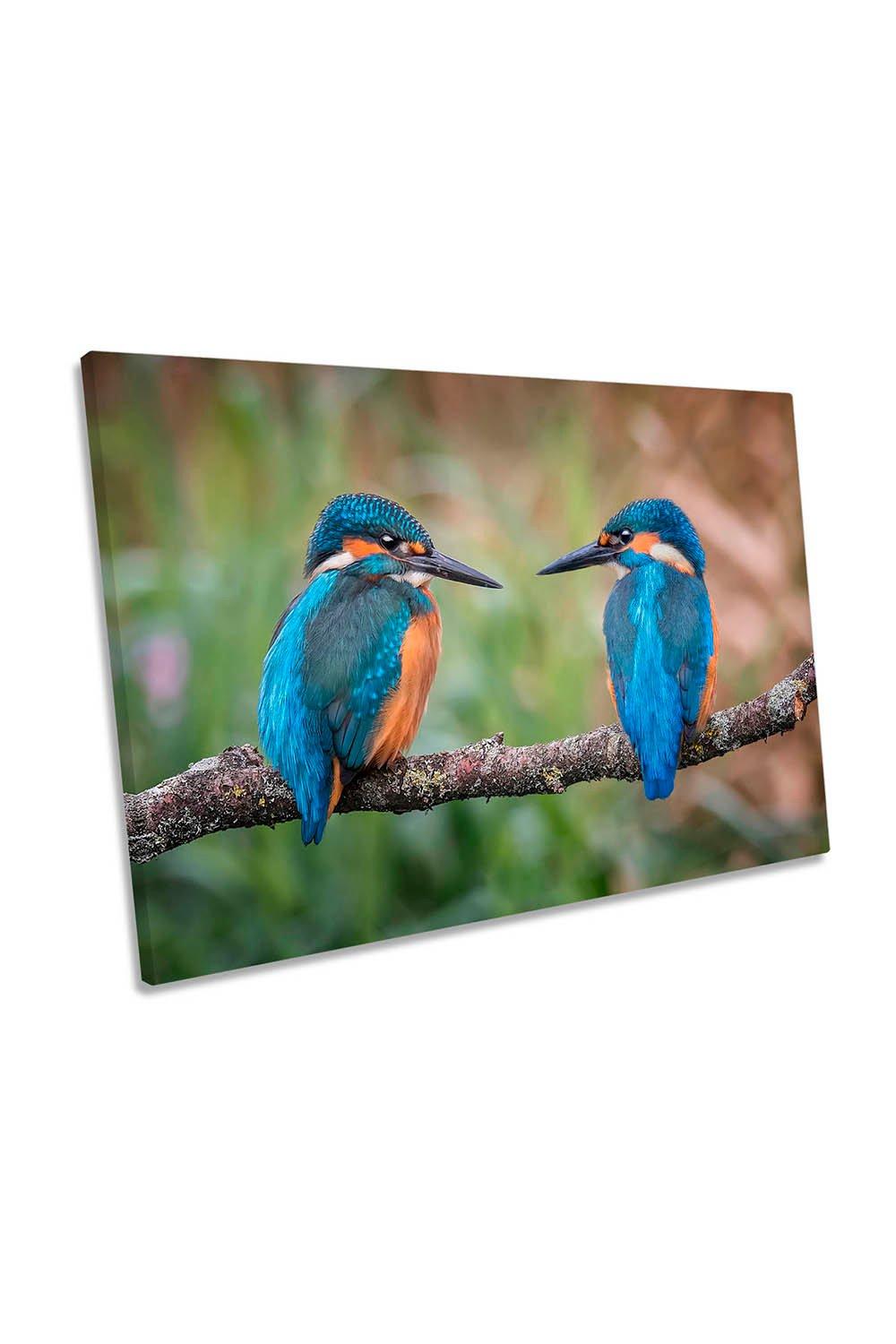 Sharing the Perch Kingfisher Birds Canvas Wall Art Picture Print