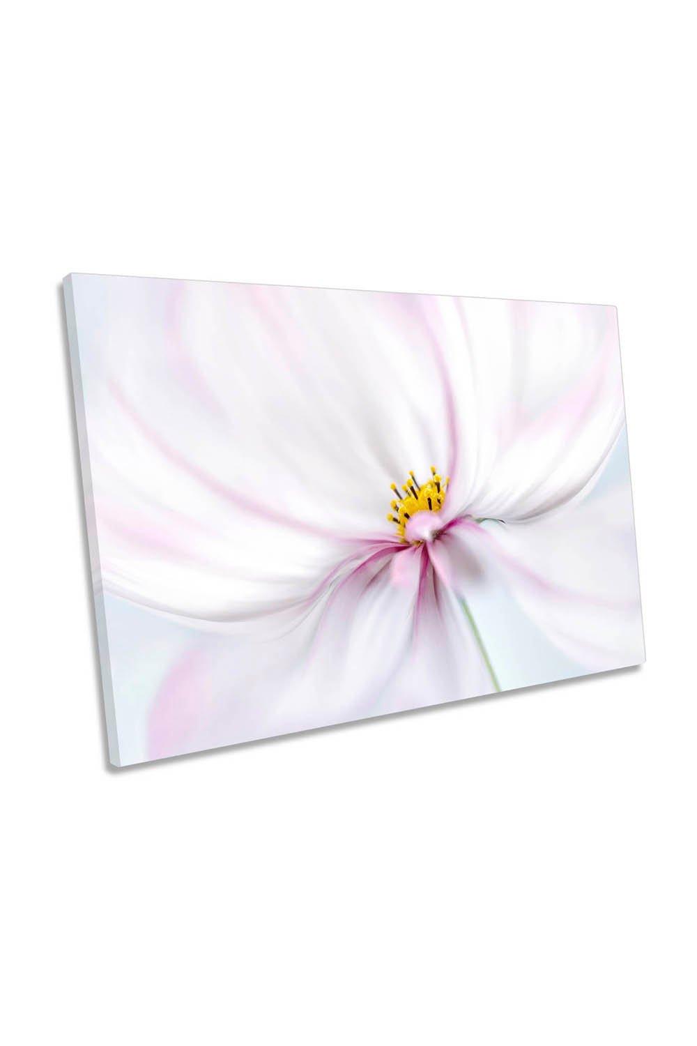 Cosmos Soft Pink Flower Floral Canvas Wall Art Picture Print