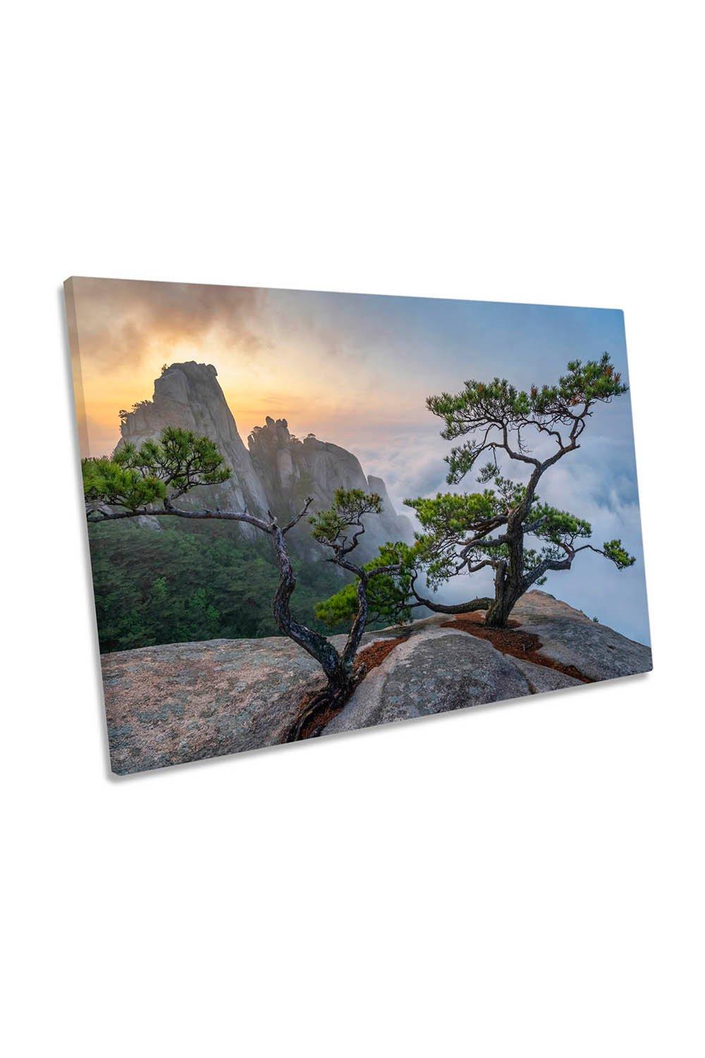 Dancing Trees of Eden Korean Mountains Canvas Wall Art Picture Print