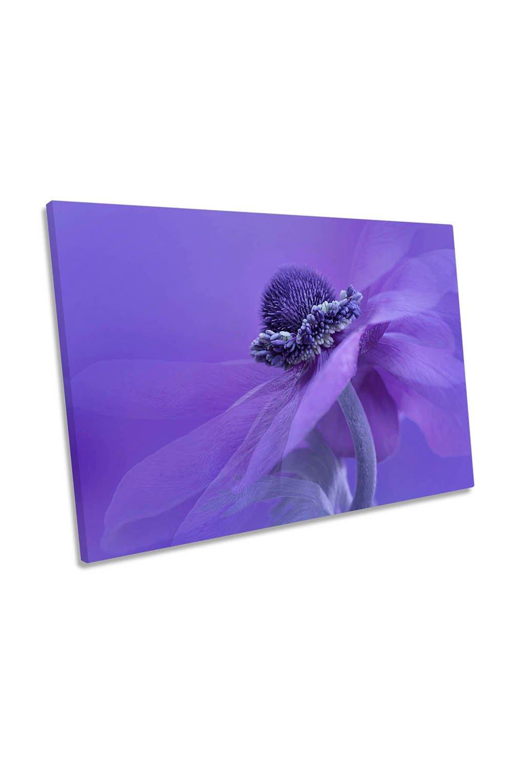 Purple Anemone Flower Petals Floral Canvas Wall Art Picture Print