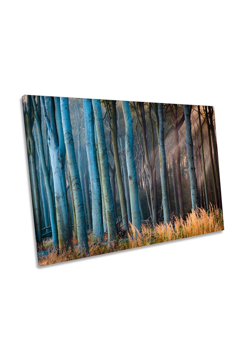 Light in the Woods Forest Trees Scene Canvas Wall Art Picture Print