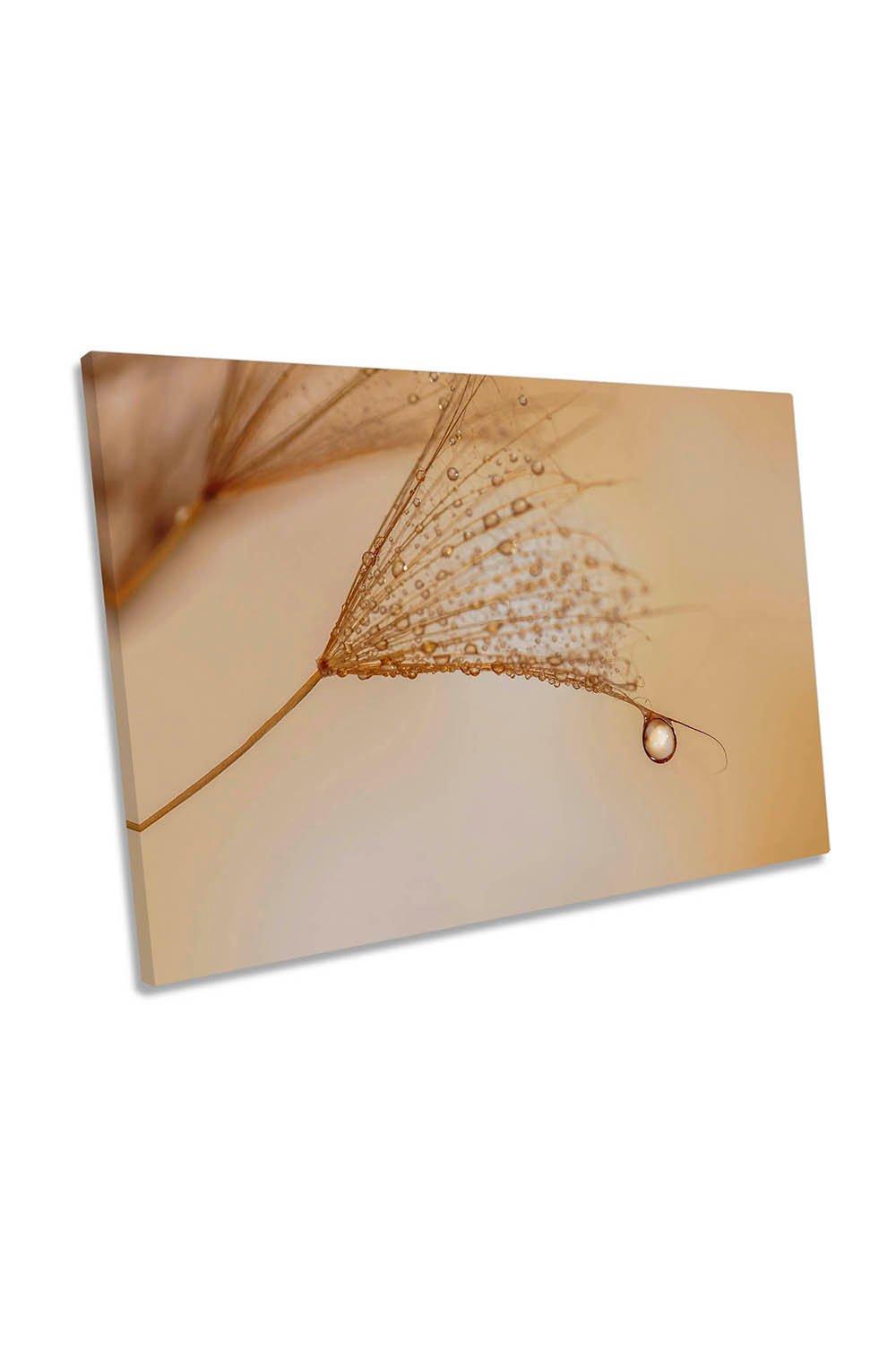 J 'Adore Water Droplet Floral Canvas Wall Art Picture Print