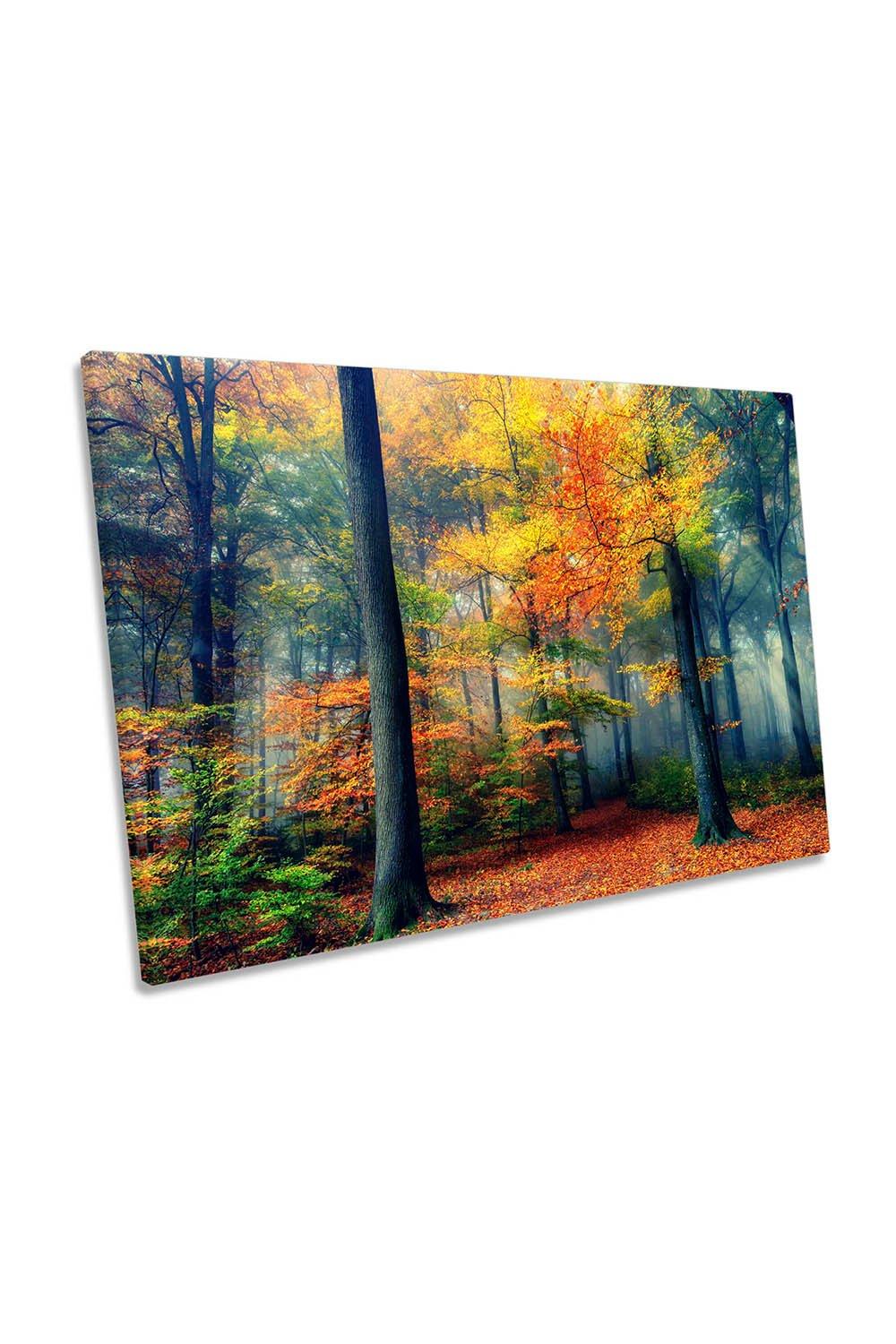 Autumn Colours in the Forest Woodland Canvas Wall Art Picture Print