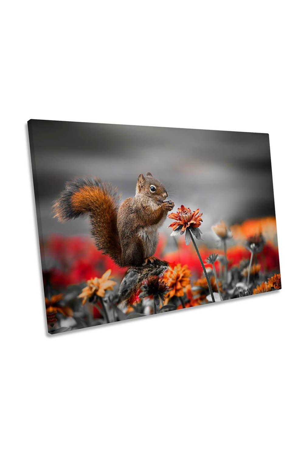 Lovely Squirrel Harvesting Floral Canvas Wall Art Picture Print